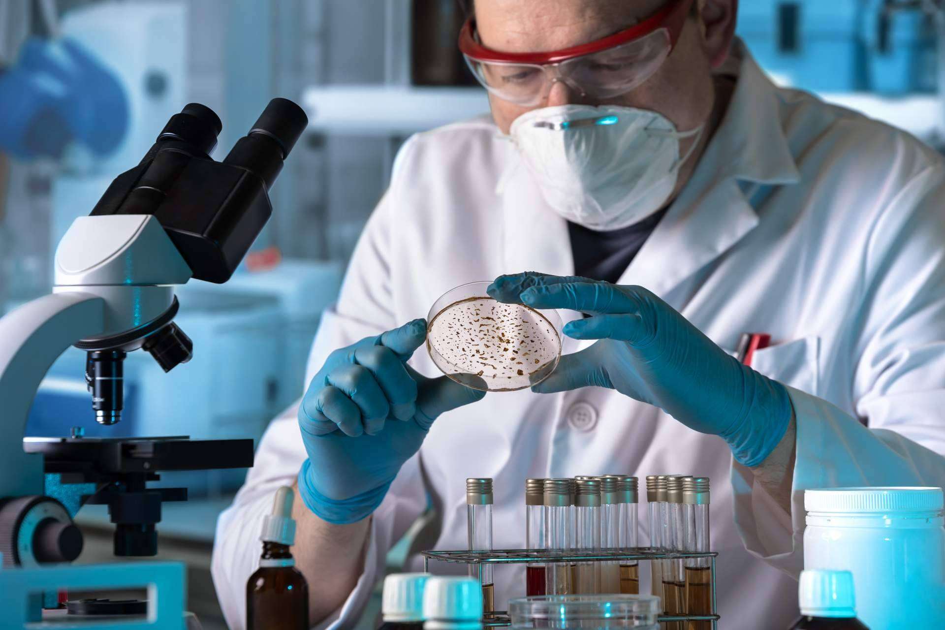 ¿Hay algún tratamiento para la disbiosis intestinal?
