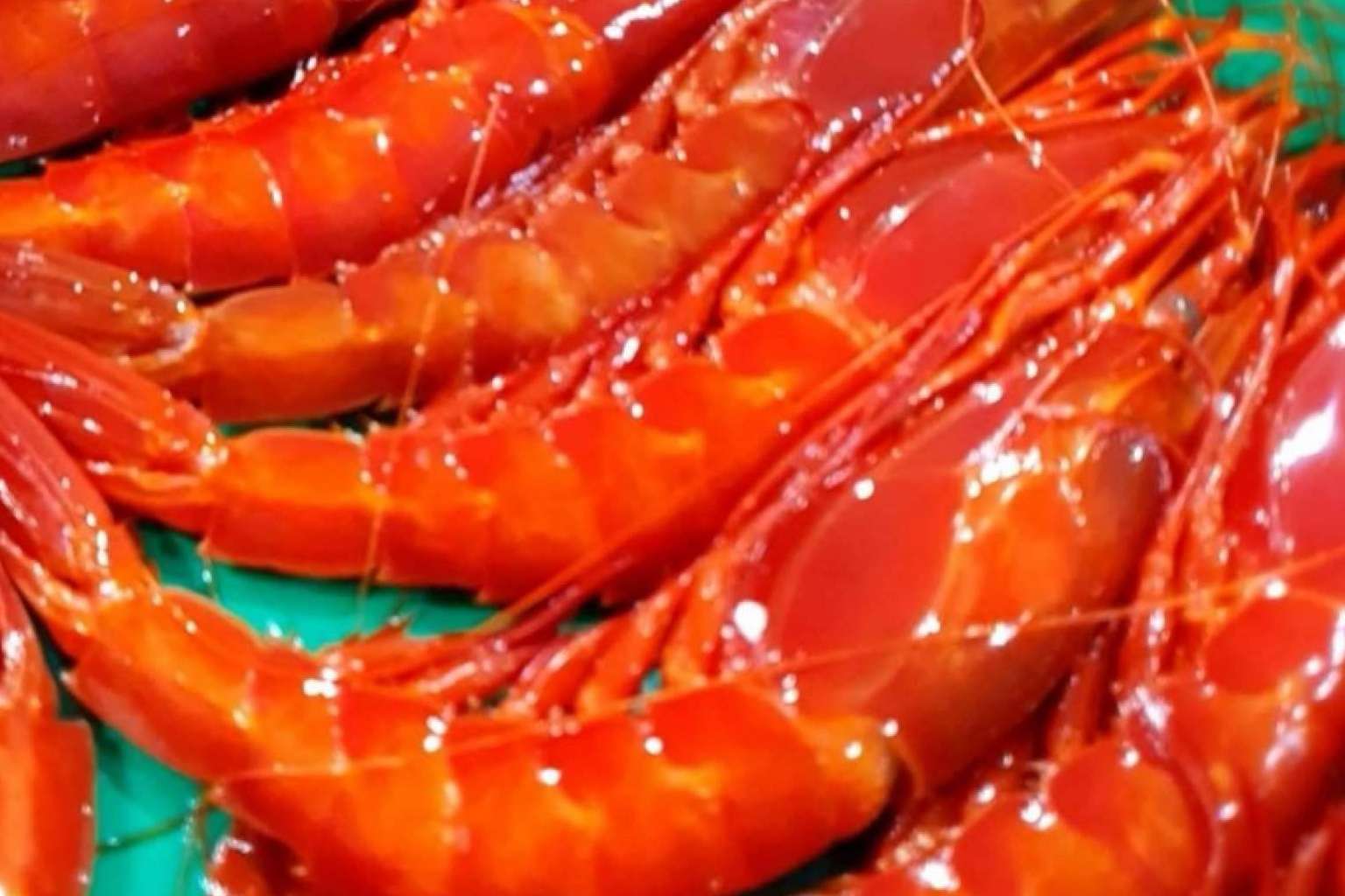 El pescado blanco y el pescado azul de Comprarpescadoonline son ingredientes clave para una dieta equilibrada