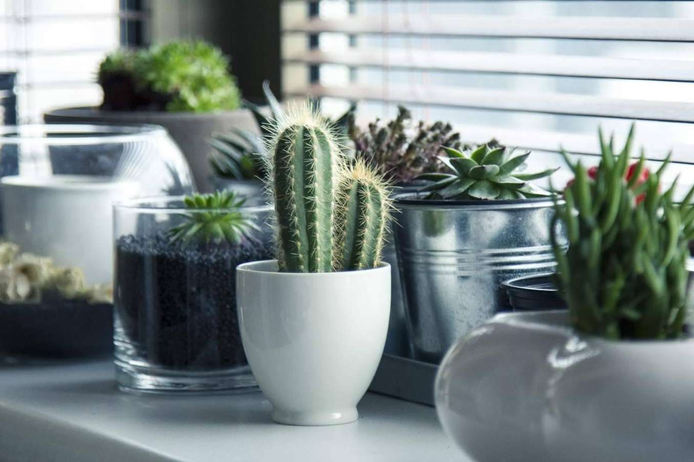 Optar por diferentes estilos en la decoración del diseño de interiores en el estudio Decorando Tu Espacio