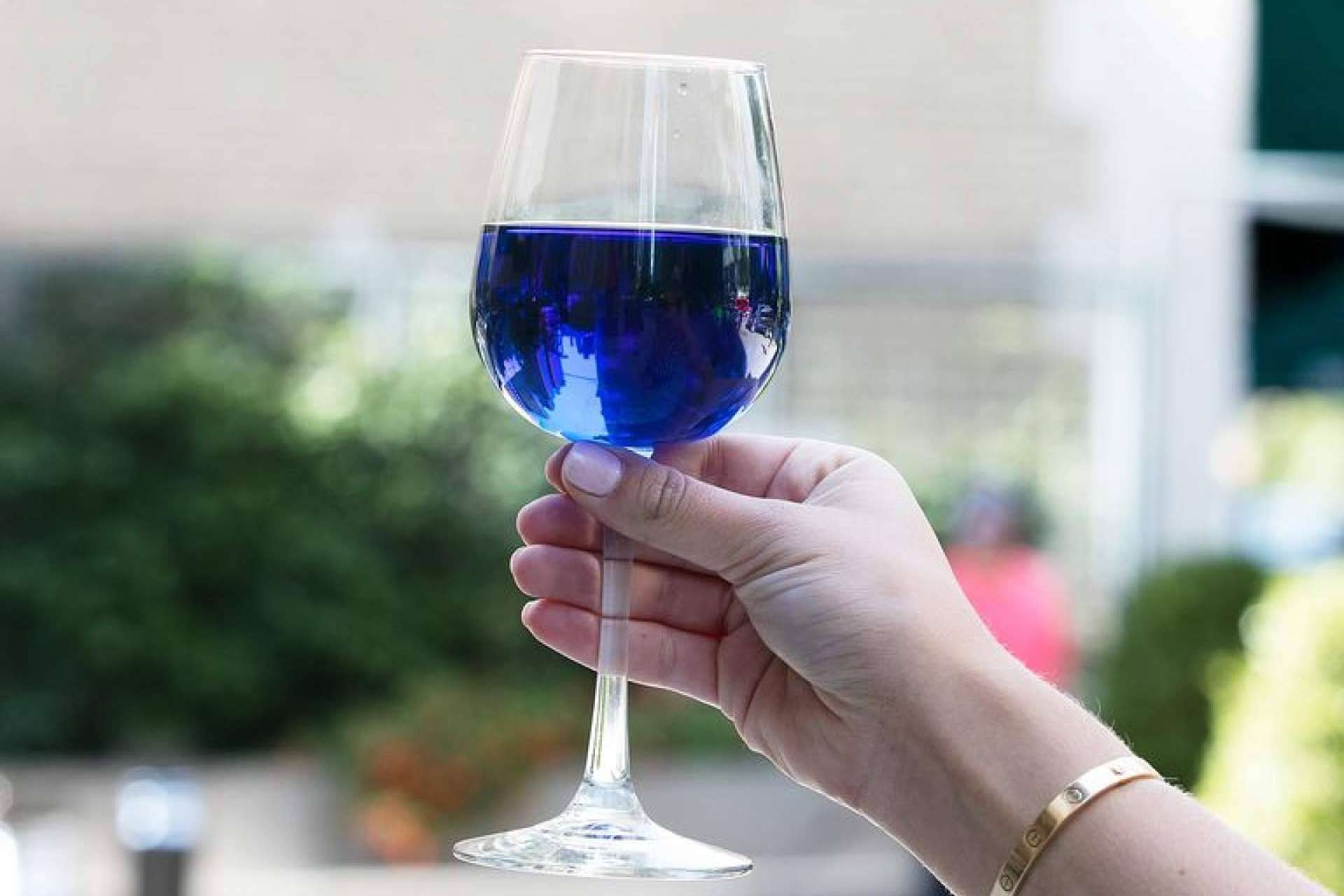 Las variedades de vino azul disponibles en la tienda online Mesa 16