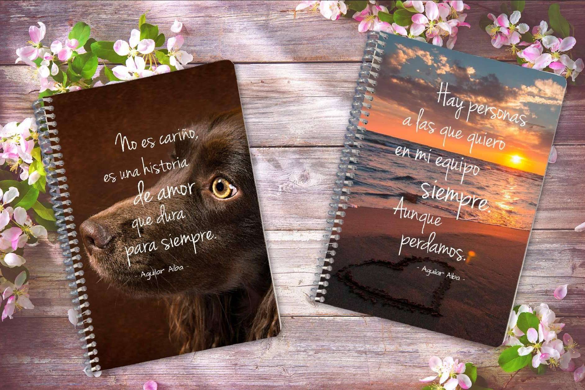 Agendas 2022 y libretas únicas, los regalos divertidos de Tres en un Burro
