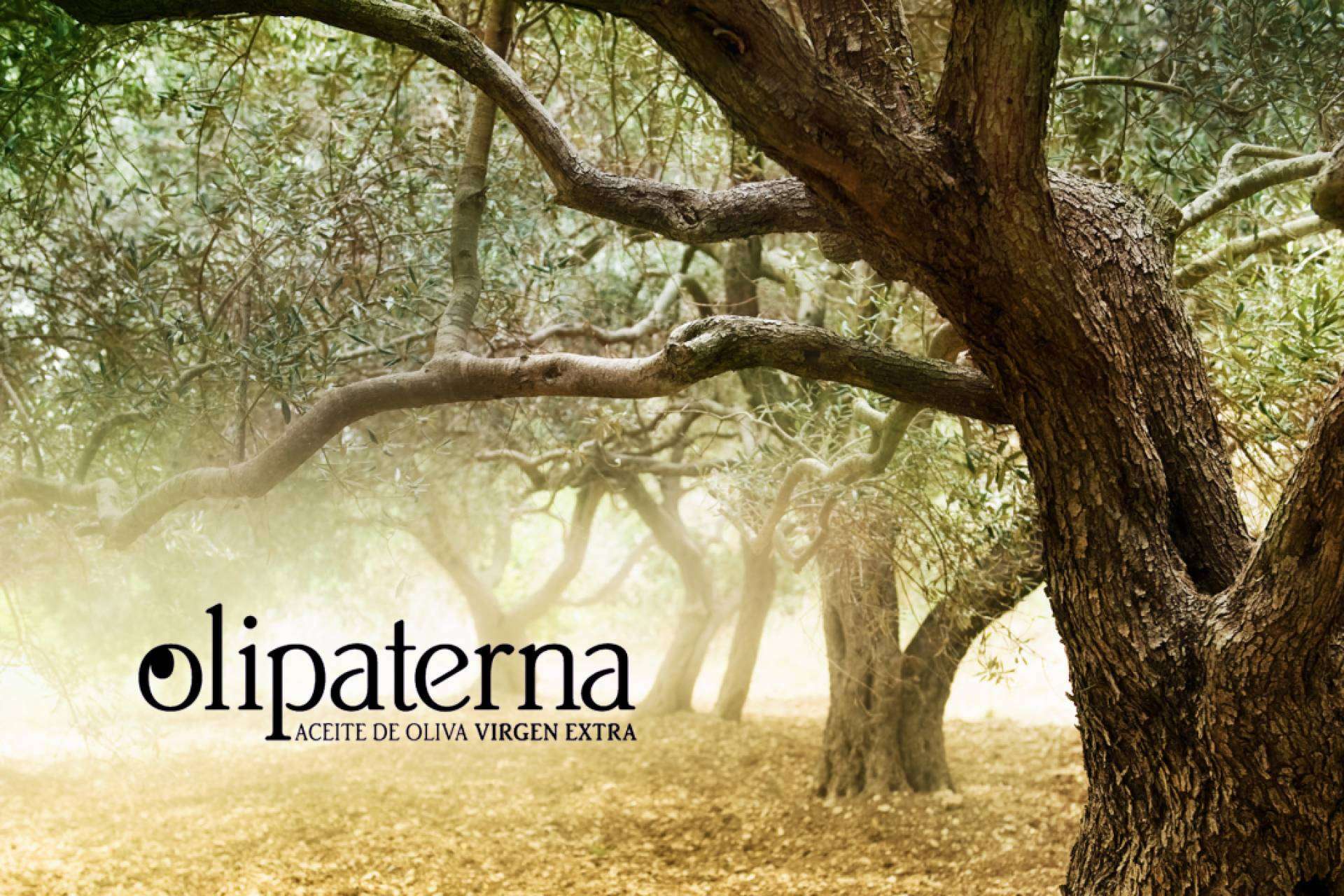 ¿Cuáles son los beneficios del aceite de oliva virgen extra de Olipaterna?