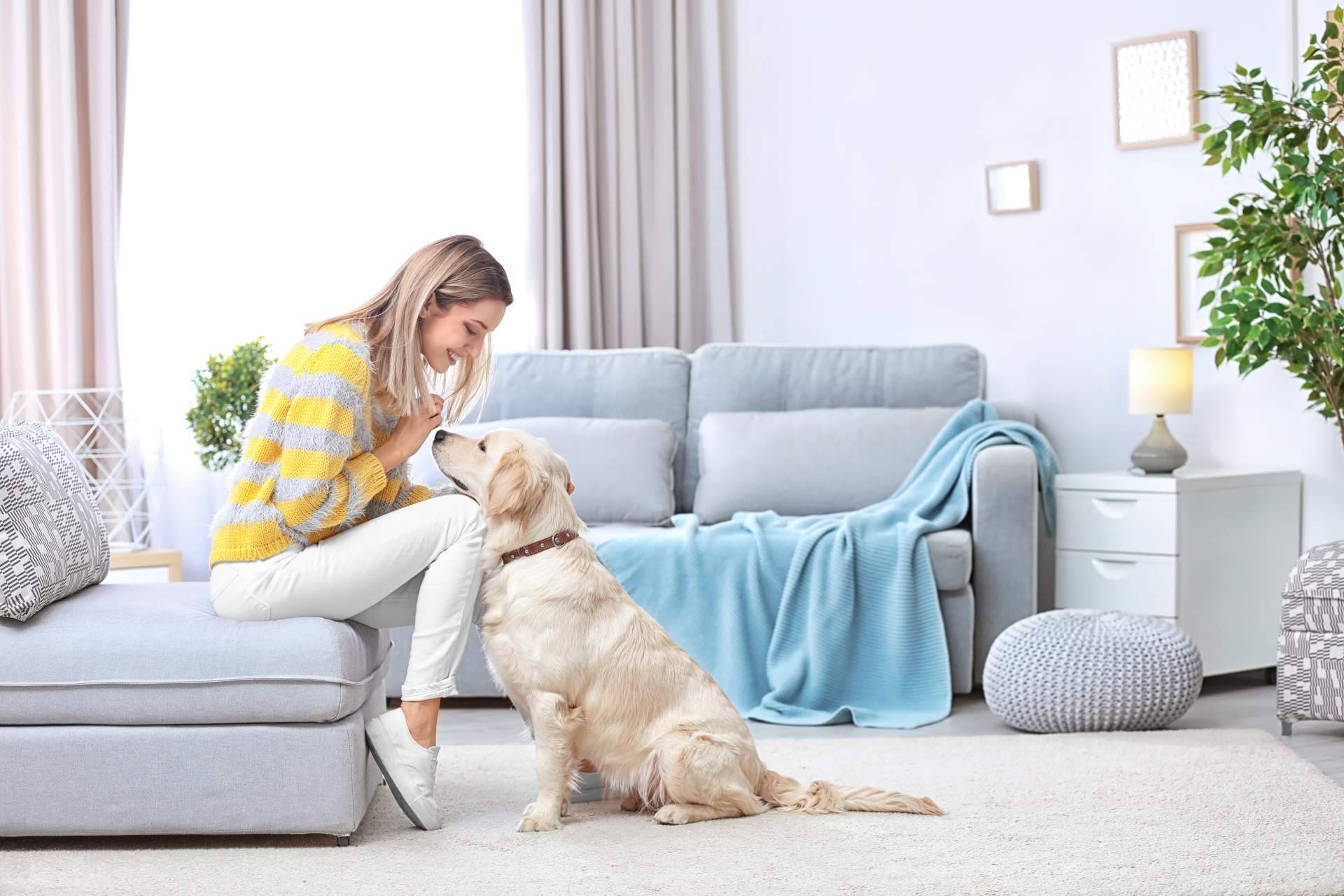 La antrozoología y etología del perro y del gato. Consejos para una buena convivencia con perros y gatos
