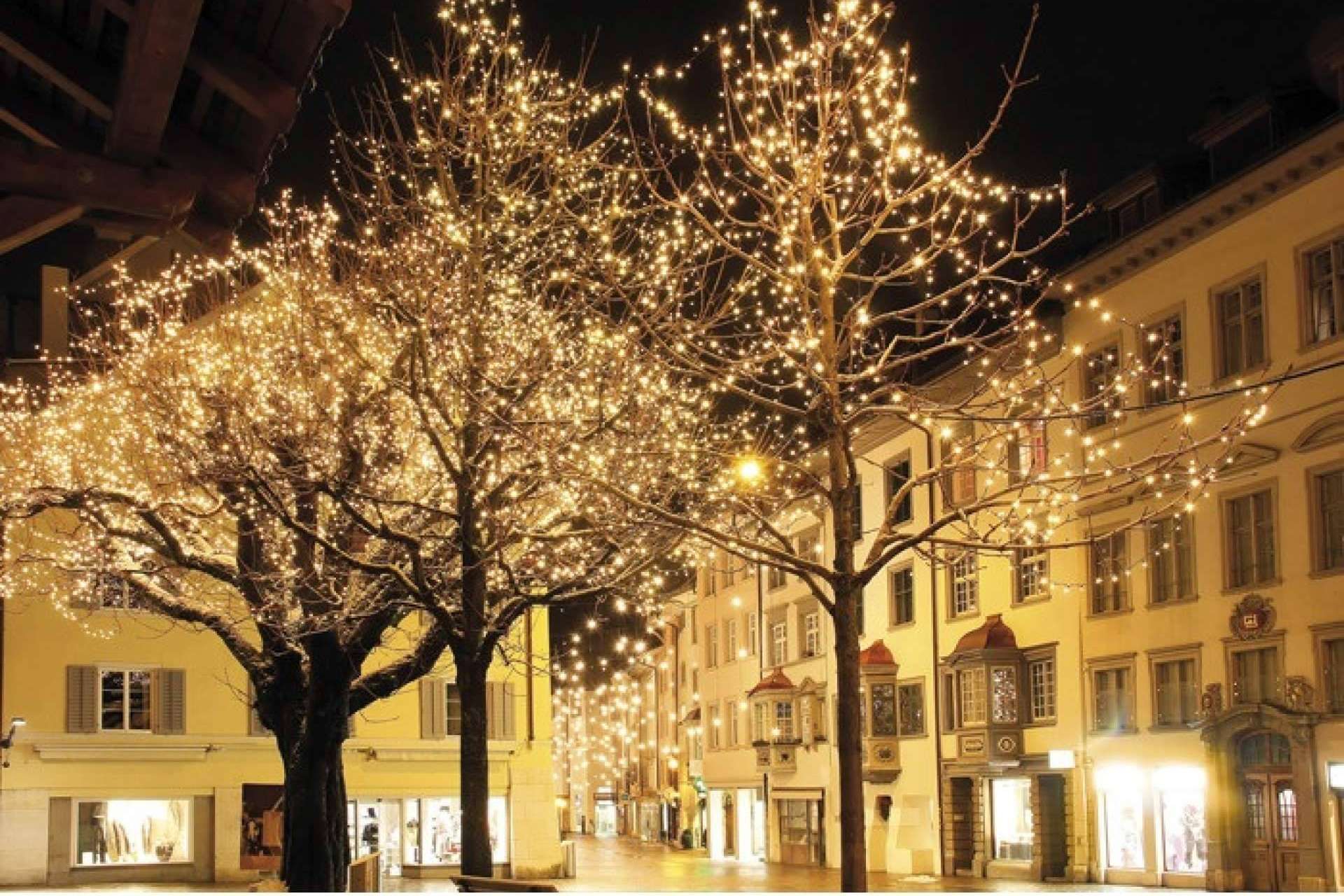 Los productos que ofrece Protect Soiart Distribución y la importancia de la iluminación decorativa durante la Navidad