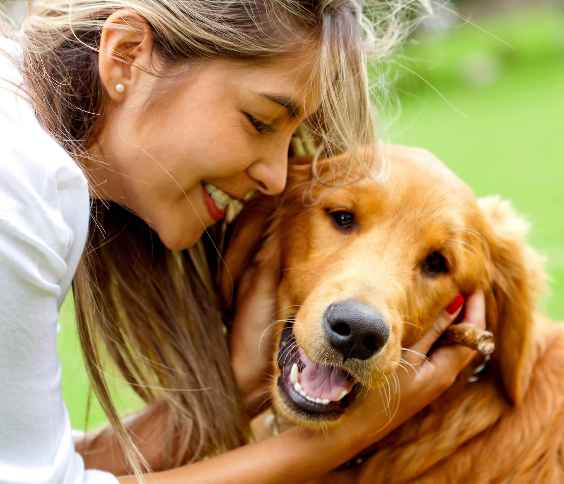 ¿Una mascota como regalo de Navidad?