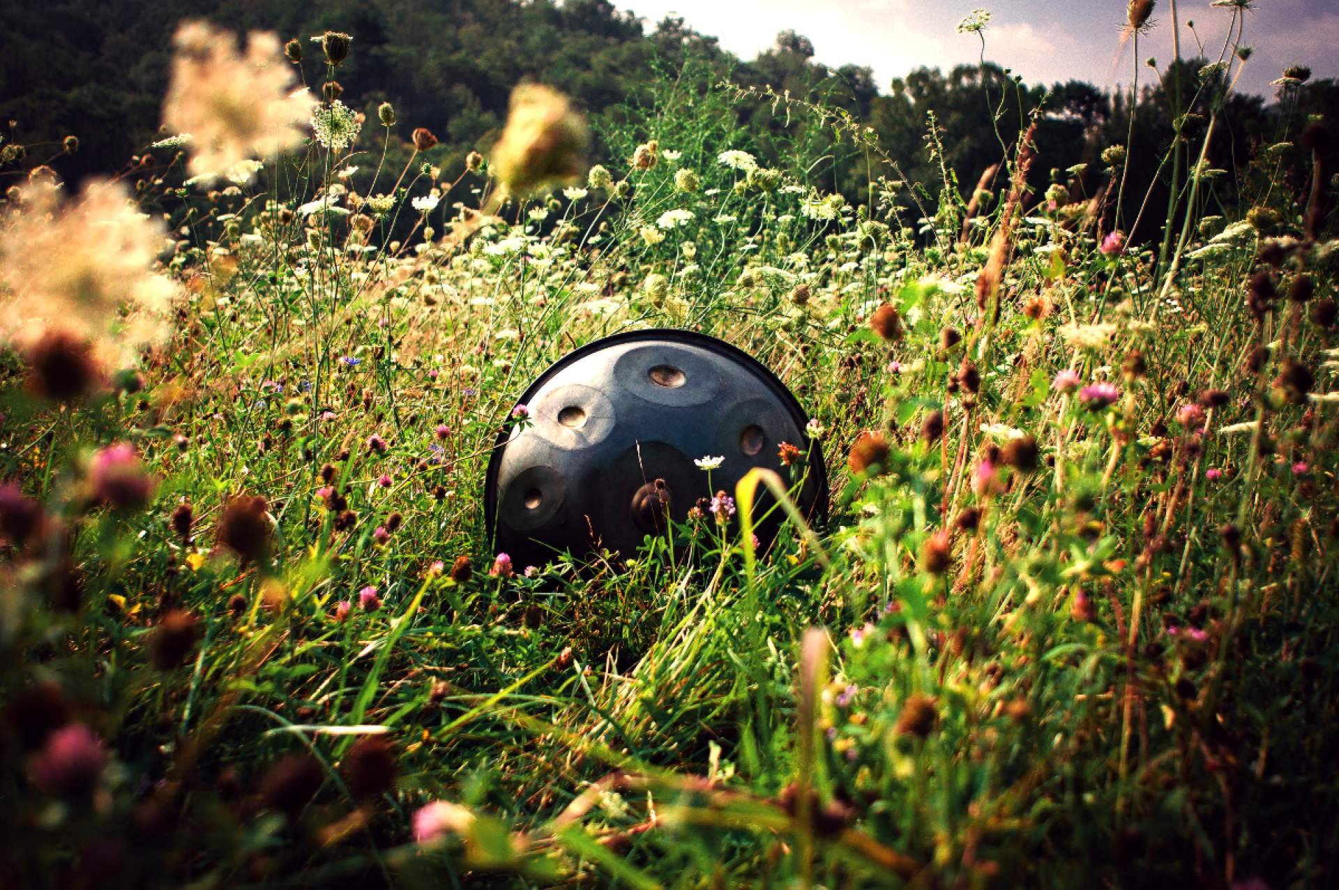 ¿Qué es handpan.es?, la web especializada en España que ofrece información detallada sobre el handpan