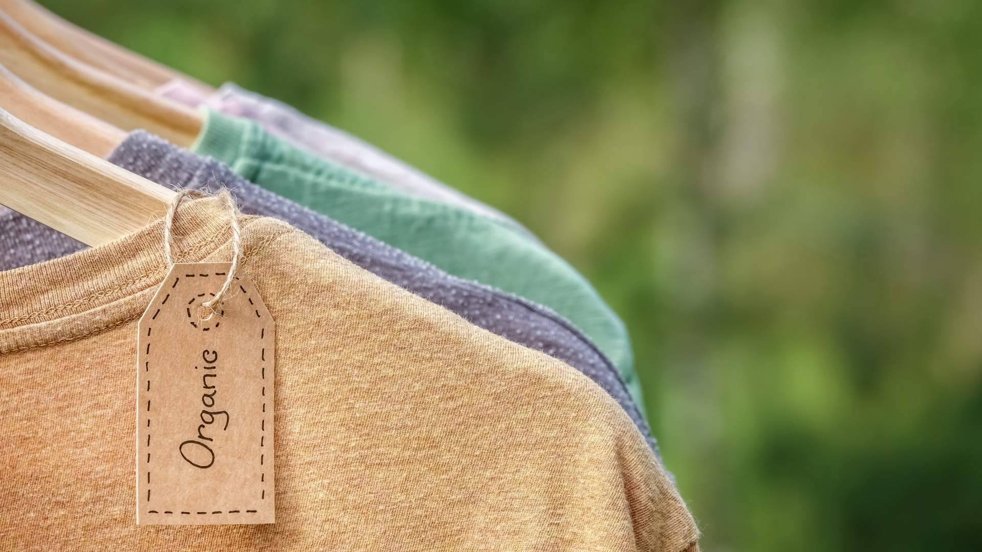 En la tienda online multimarca Who Killed Bambi? apuestan por la sostenibilidad de la mano de marcas como Ecoalf