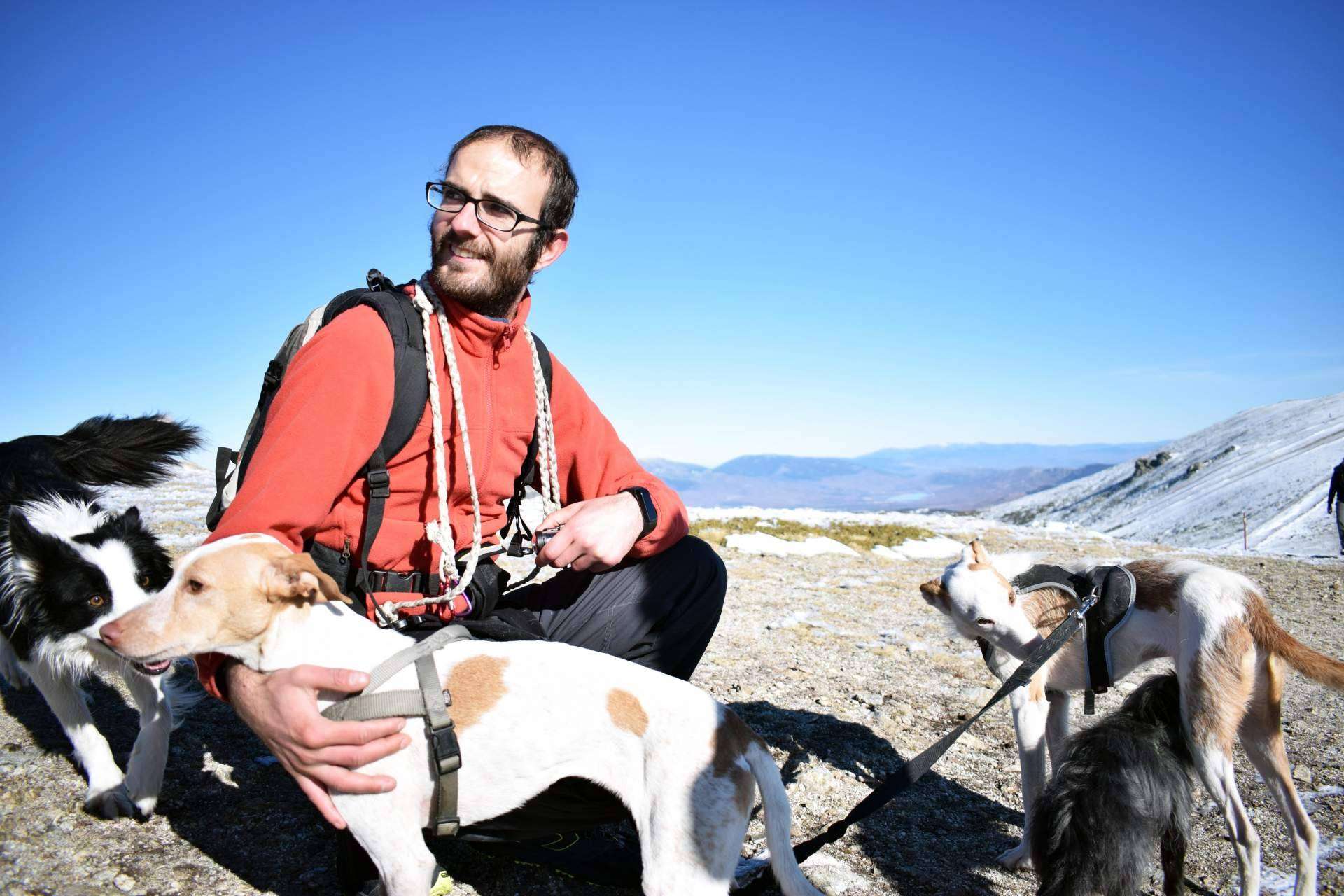 Educación amable y respetuosa para perros, con David Lapido