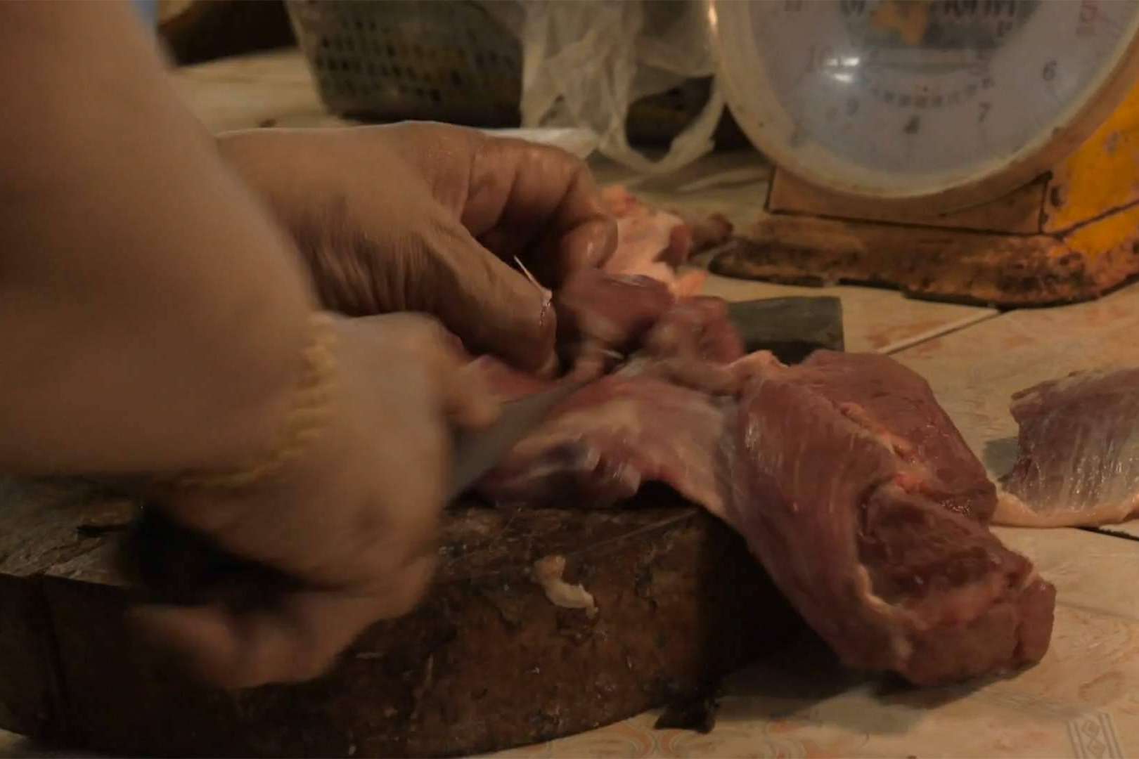 Dietas BARF para perros, todo lo que hay que saber