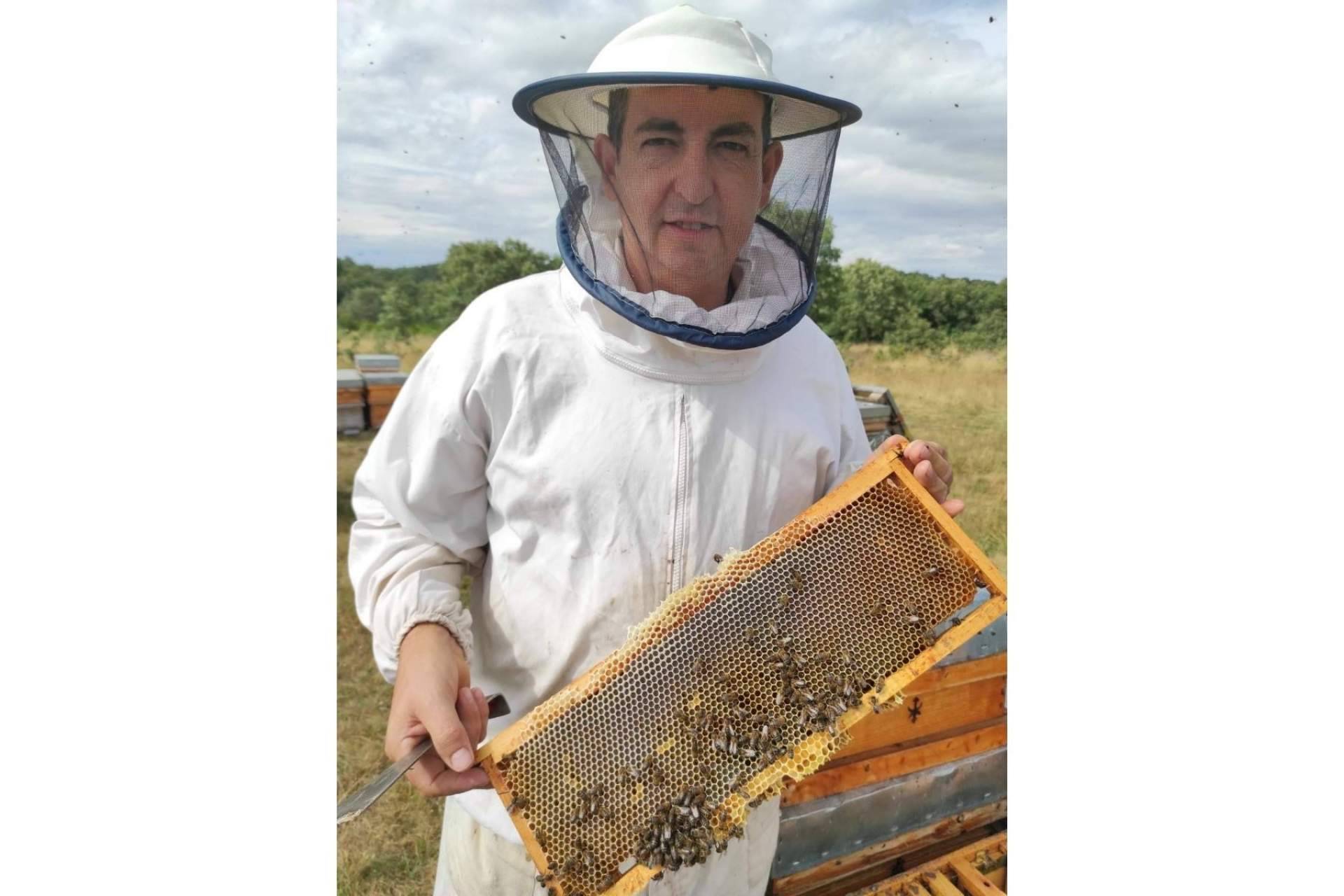 Miel de romero, cuando la primavera regala sabor y salud