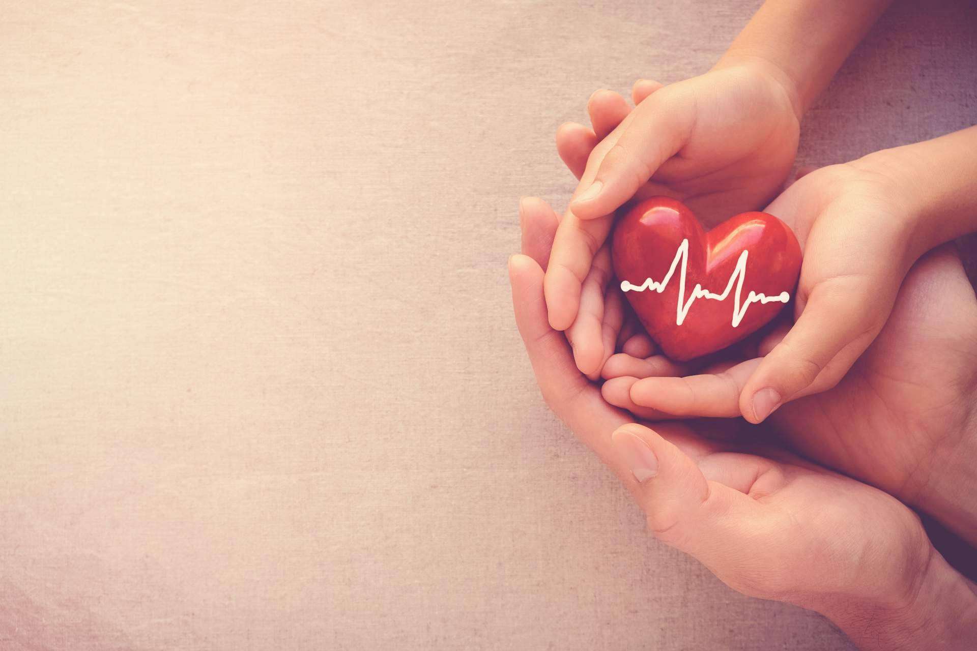 ¿Cuántos tipos de seguros de vida existen?, por PuntoSeguro