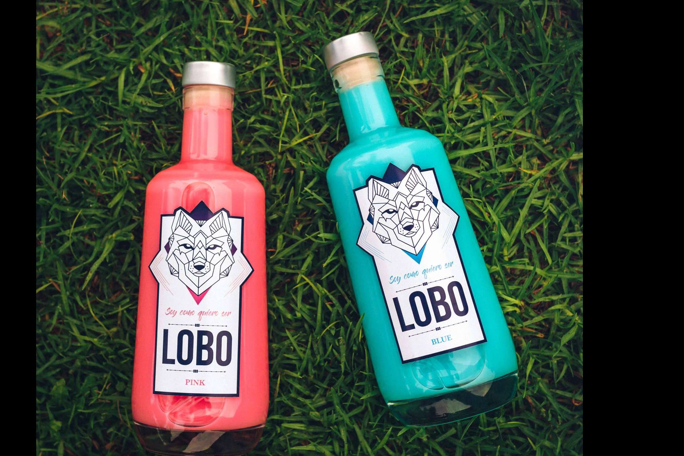 LOBO tequila a la conquista de España, de sur a norte