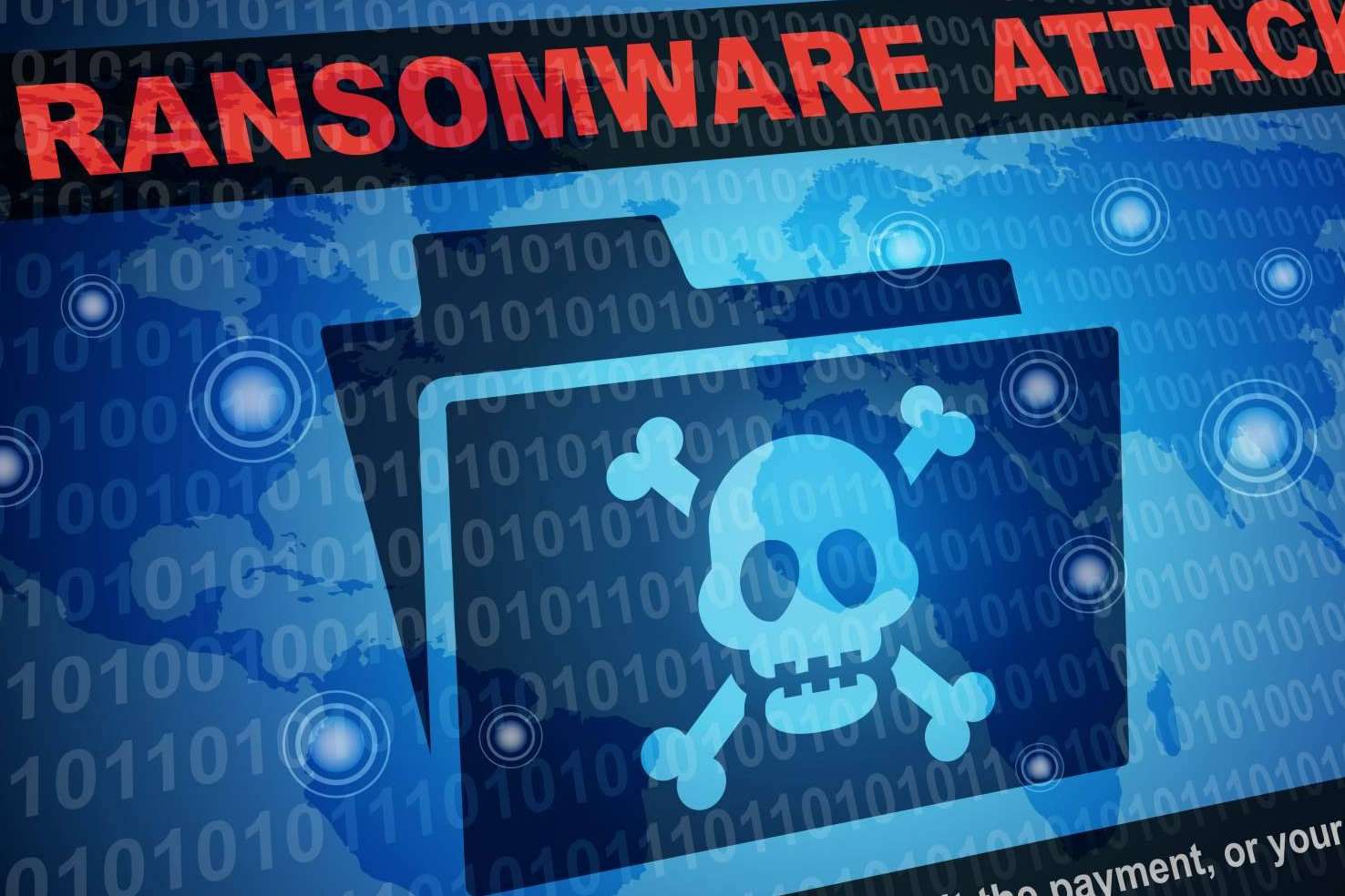 Proteger la información con Micopia.online y sus copias de seguridad