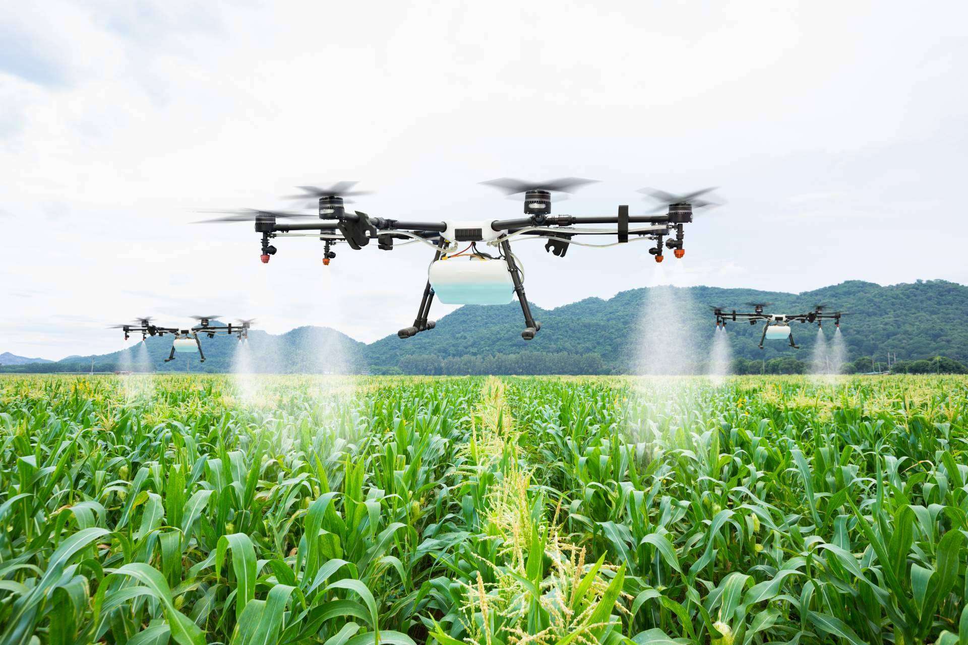 Drones agricultura de la mano de IbericaDron, el nuevo modelo del futuro