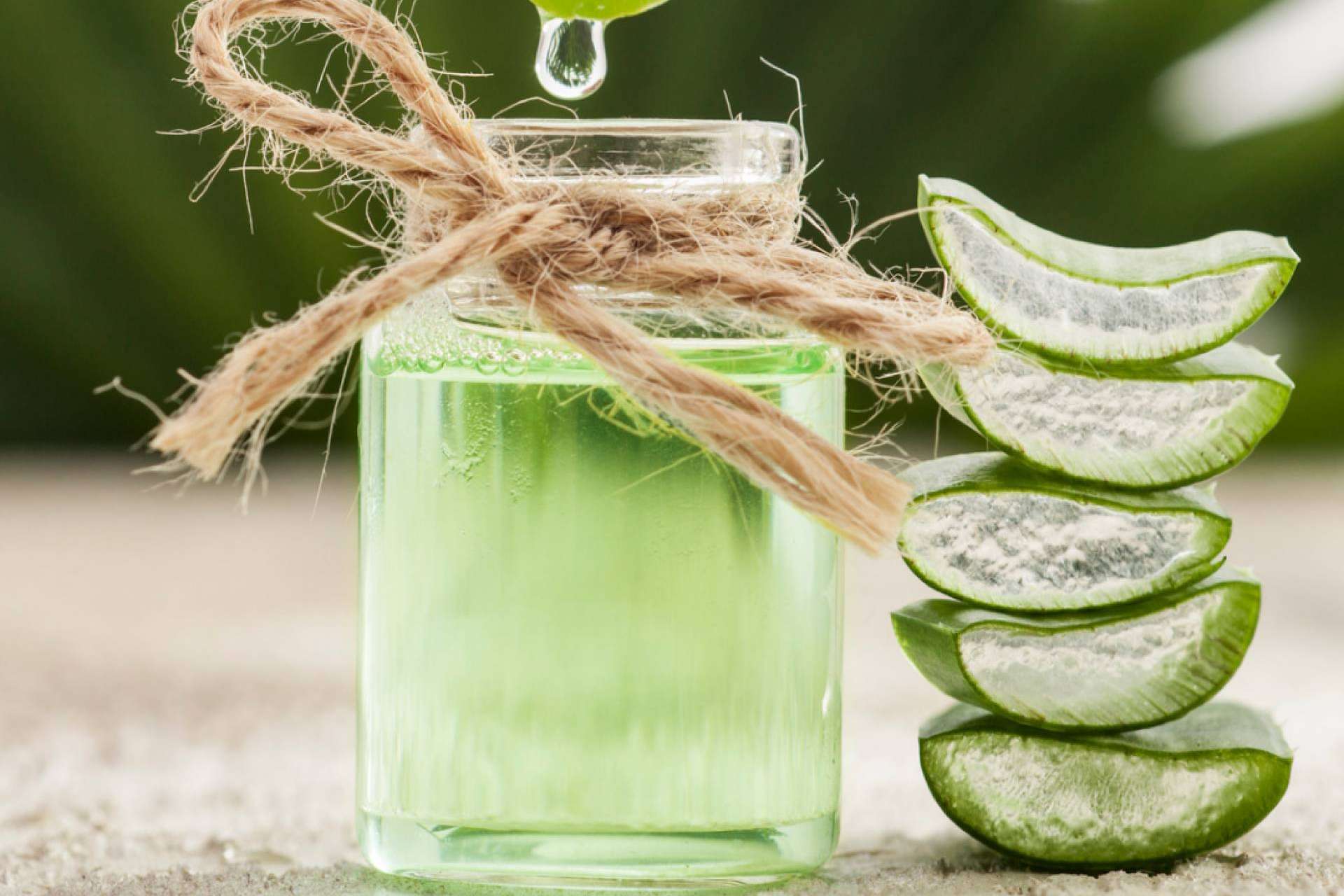 Beneficios del aloe vera en la cosmética de CrisEssens