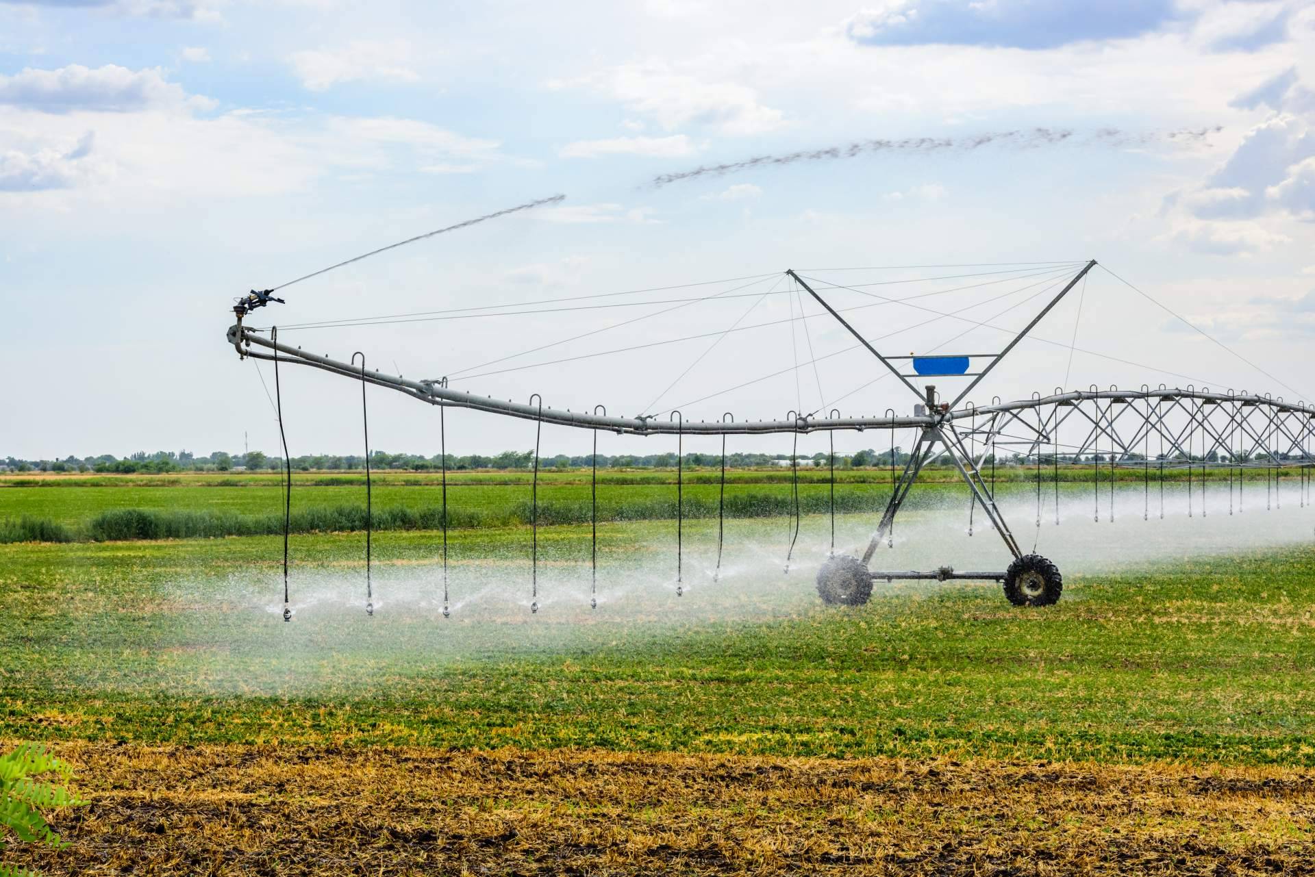 La sequía impulsa la necesidad de optimizar la gestión del agua destinada al riego