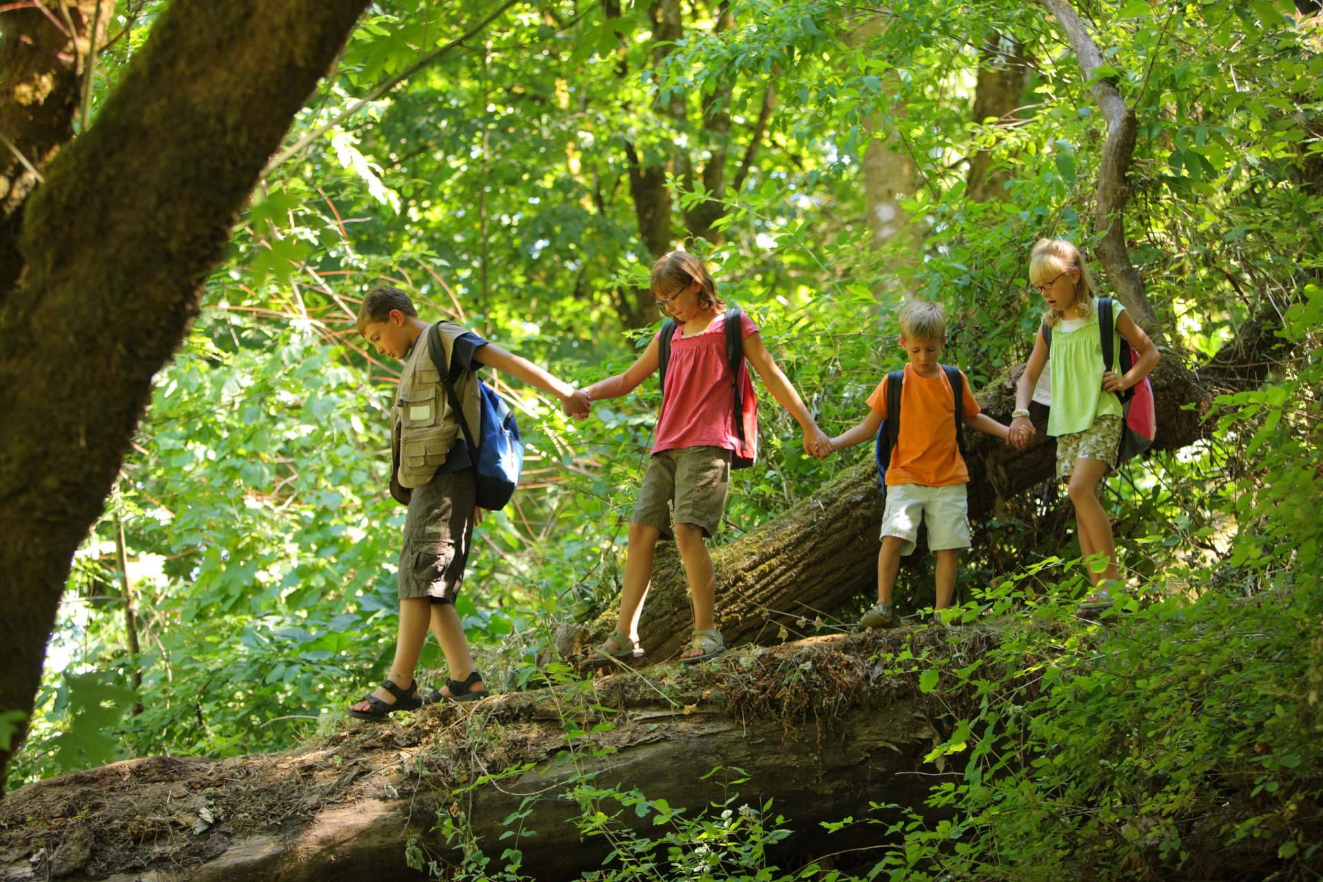 Aventurarte y sus campamentos de verano para conectar con la naturaleza