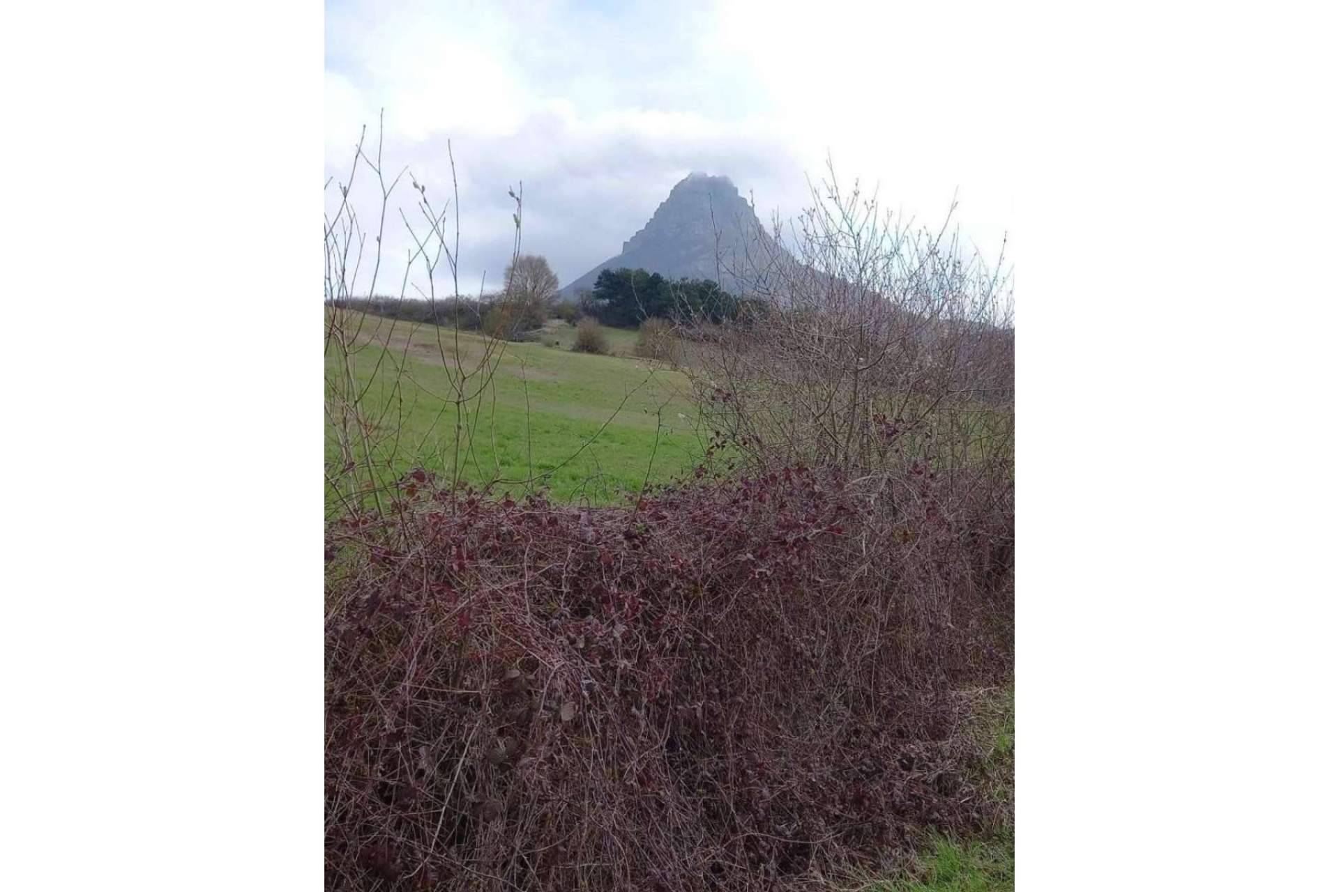 Casa Rural Ixurkonea, el mejor plan de fin de semana en familia y con amigos en Navarra