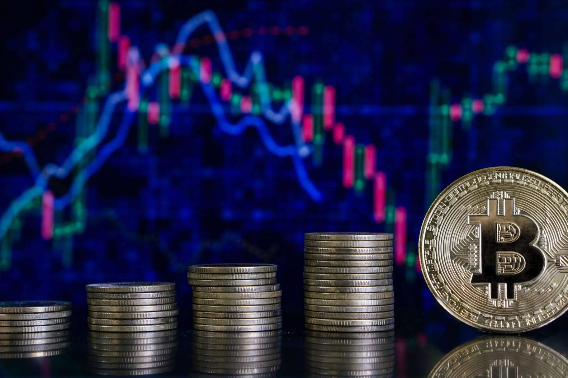 CryptoSharks ofrece uno de los mejores cursos de trading con bitcoin y criptomonedas