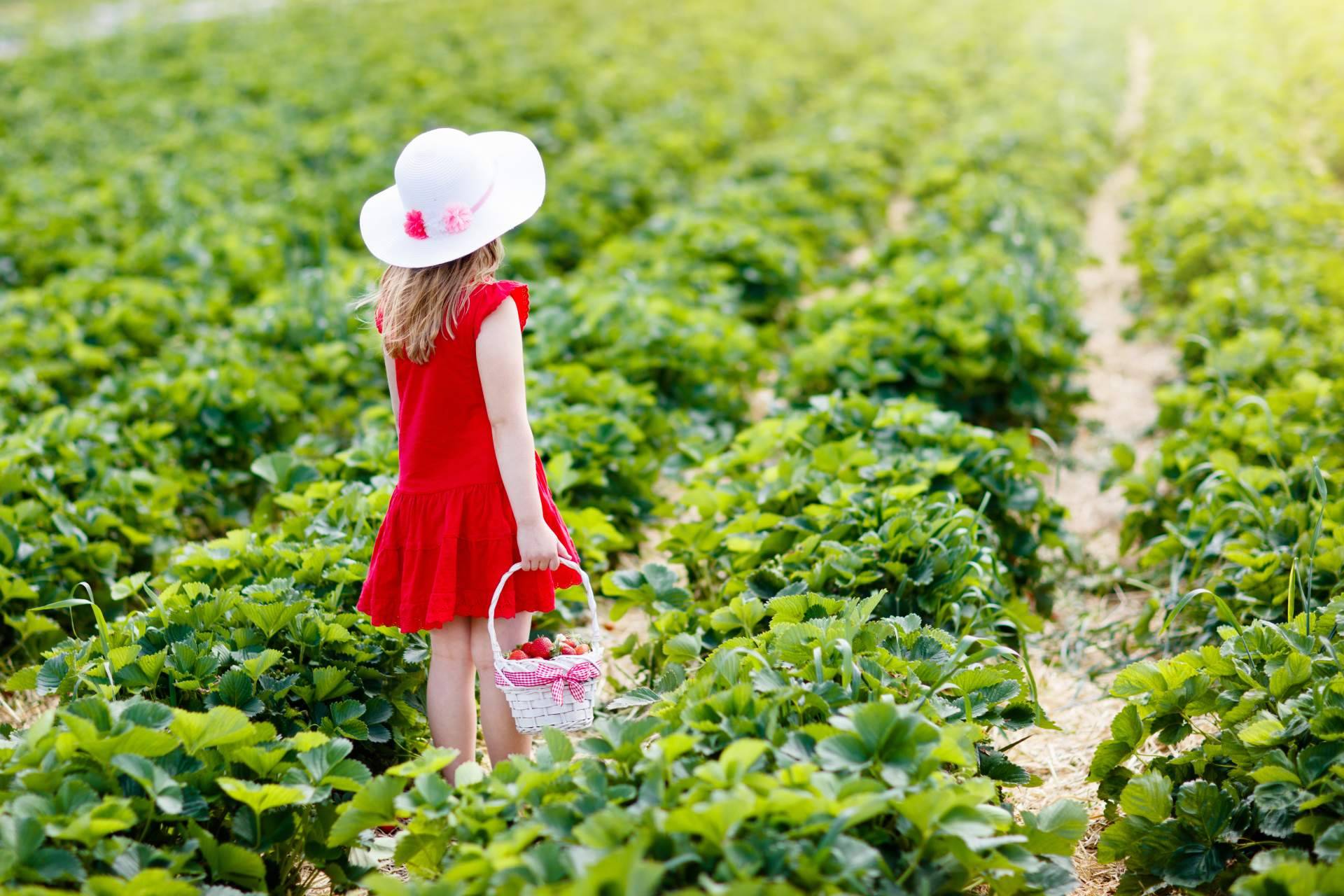 Visitas guiadas a productores. Todo lo que pueden aportar al desarrollo de una educación con valores