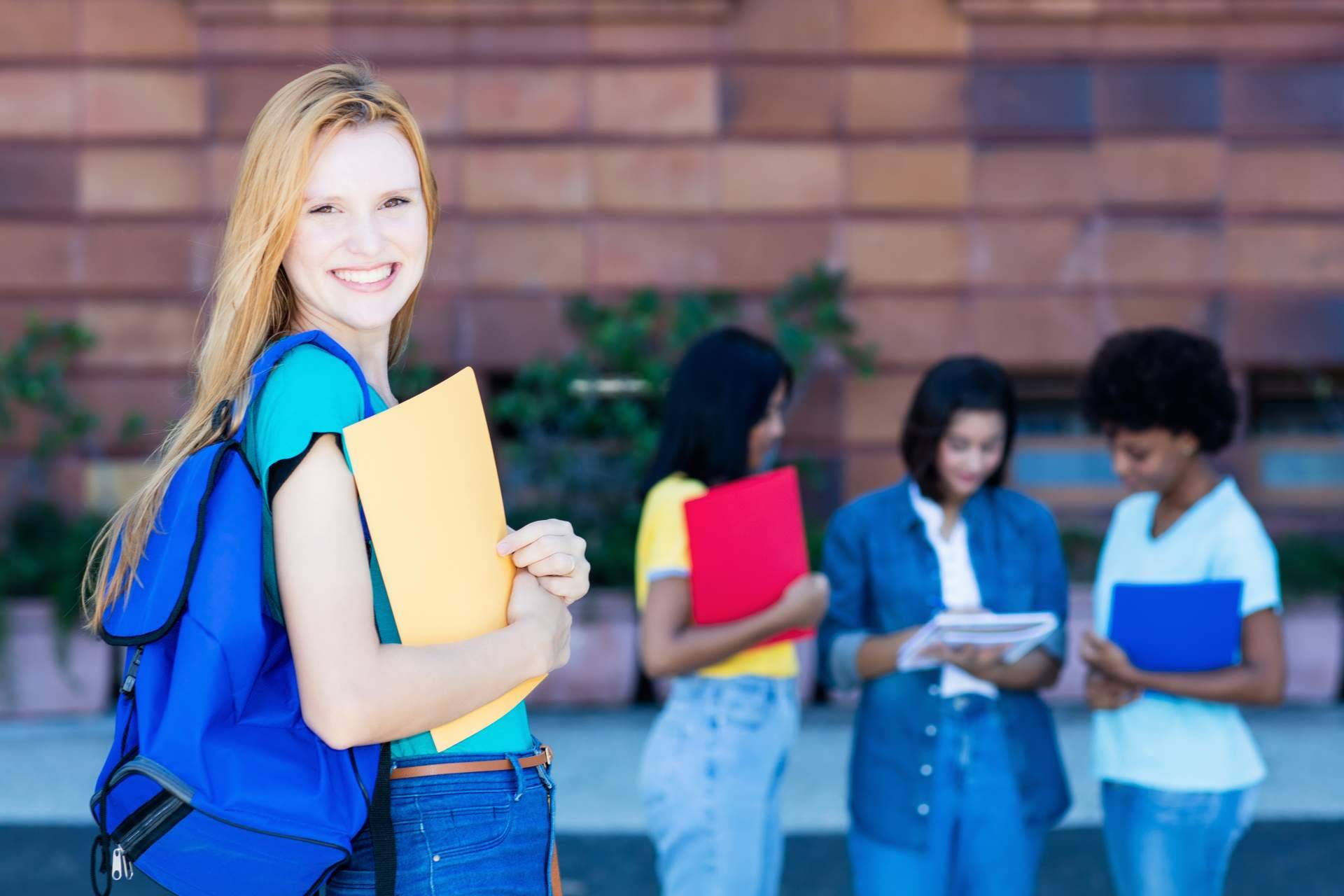 La posibilidad de realizar cursos académicos de primaria y secundaria en Irlanda o USA
