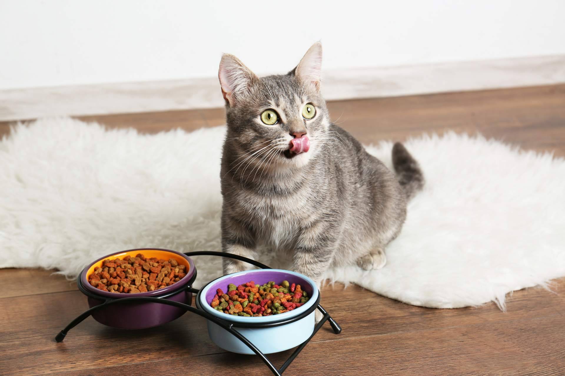 ¿Dónde encontrar alimentación y snacks de origen natural para mascotas?, por Pelu2paradise