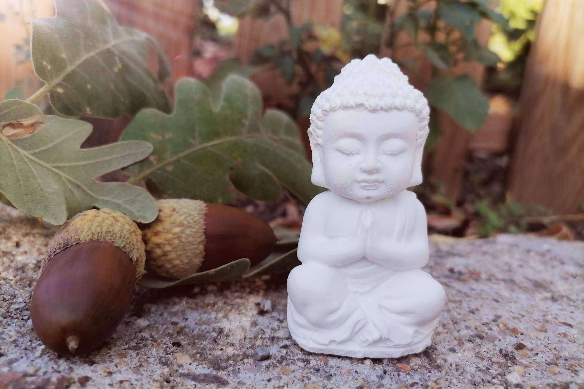 Participar en los cursos online de mindfulness de Psicosoluciones Burgos