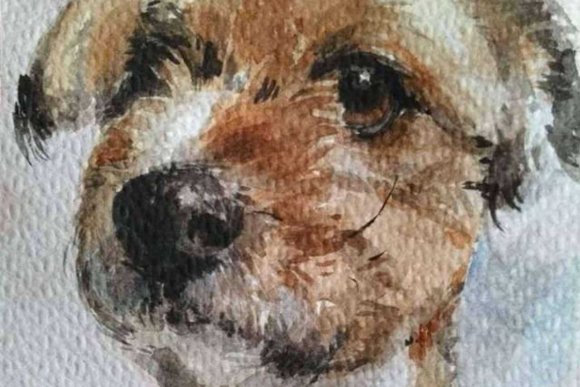 Taller de dibujo, pintura y fotografía para fomentar la creatividad, de la mano de El Taller de la Salamandra