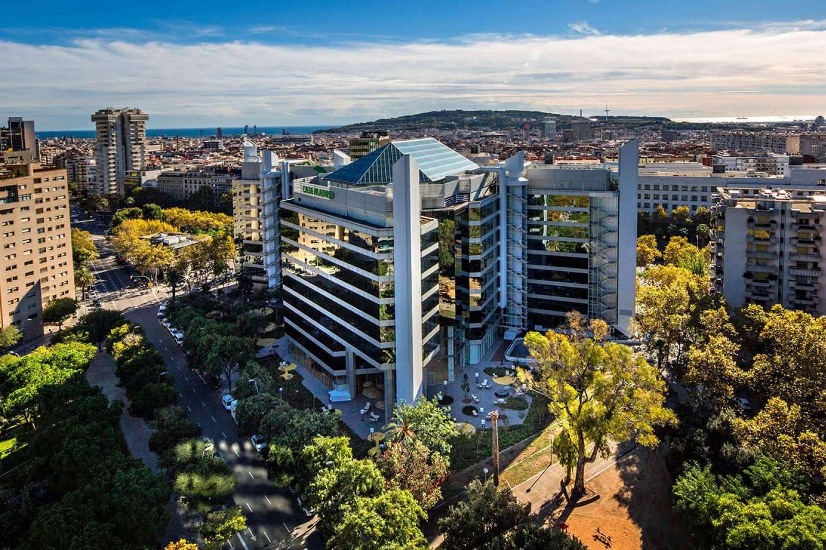 Consulweb, agente digitalizador en Barcelona