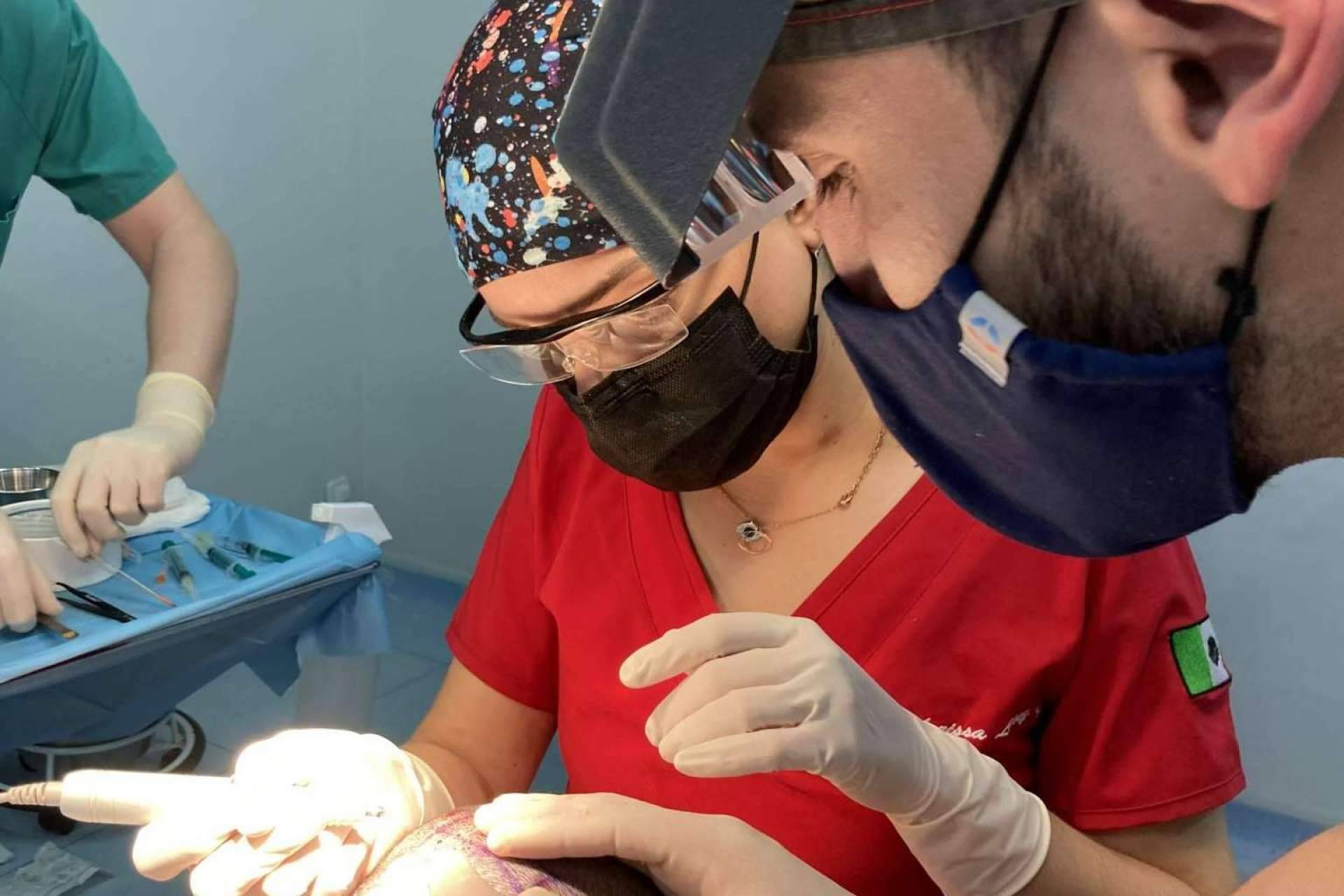Destacado profesorado en cirugía capilar en el Máster FEMEL