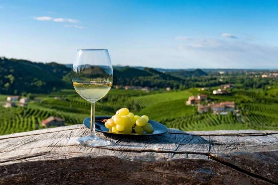 Your Wine at Home vende uno de los mejores vinos ecológicos