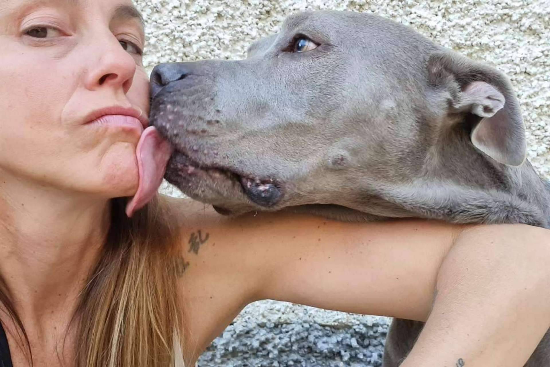 Los beneficios de llevar a los perros a una guardería de día de la mano de PERROBUENO