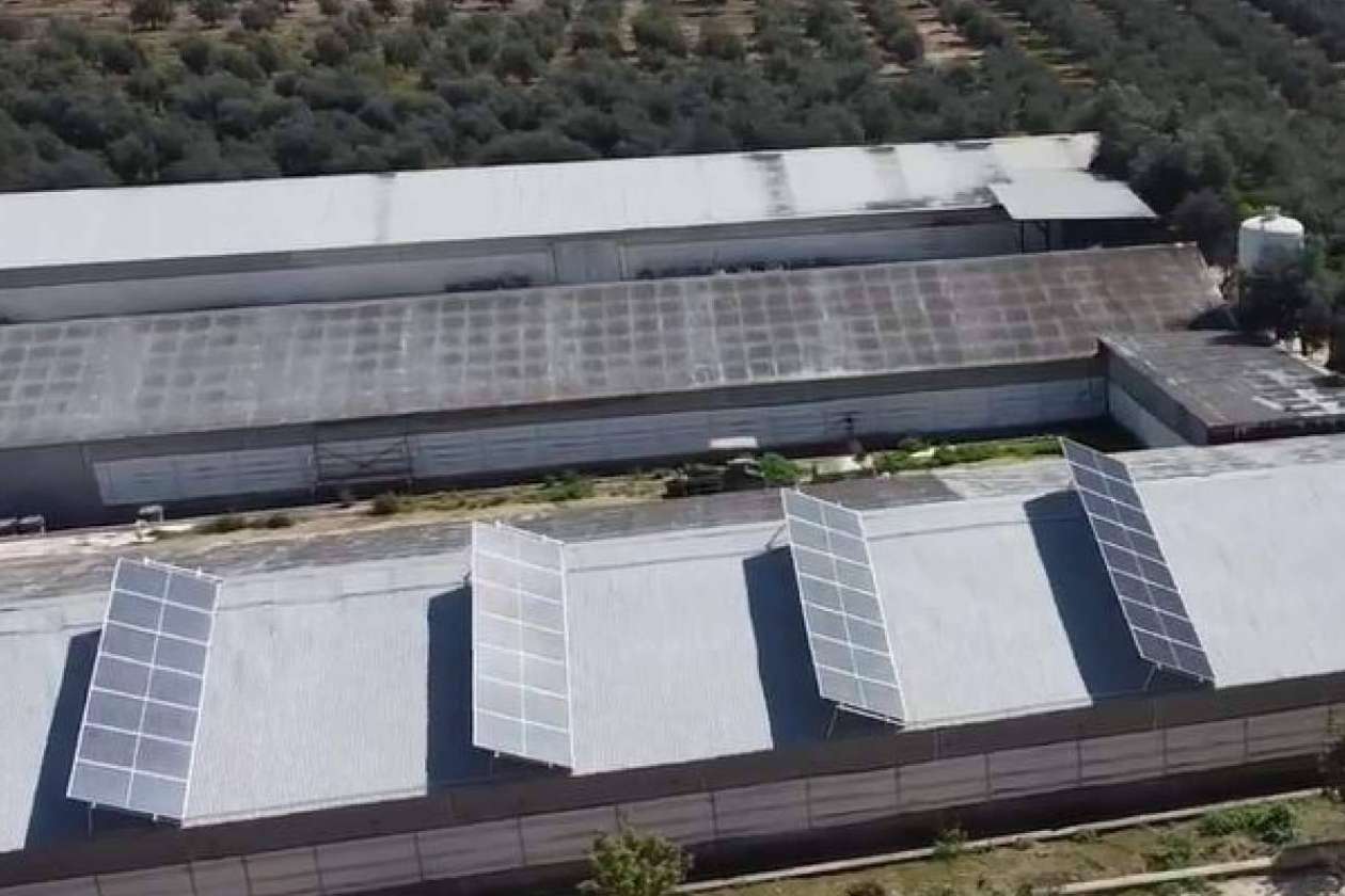 Energía de autoconsumo en empresas y sus beneficios de la mano de TodoAgrícola