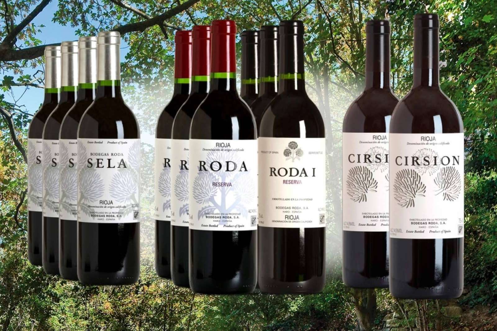 Descubrir diferentes vinos de selección de cada bodega con los packs de vinos de ILOVEWINE