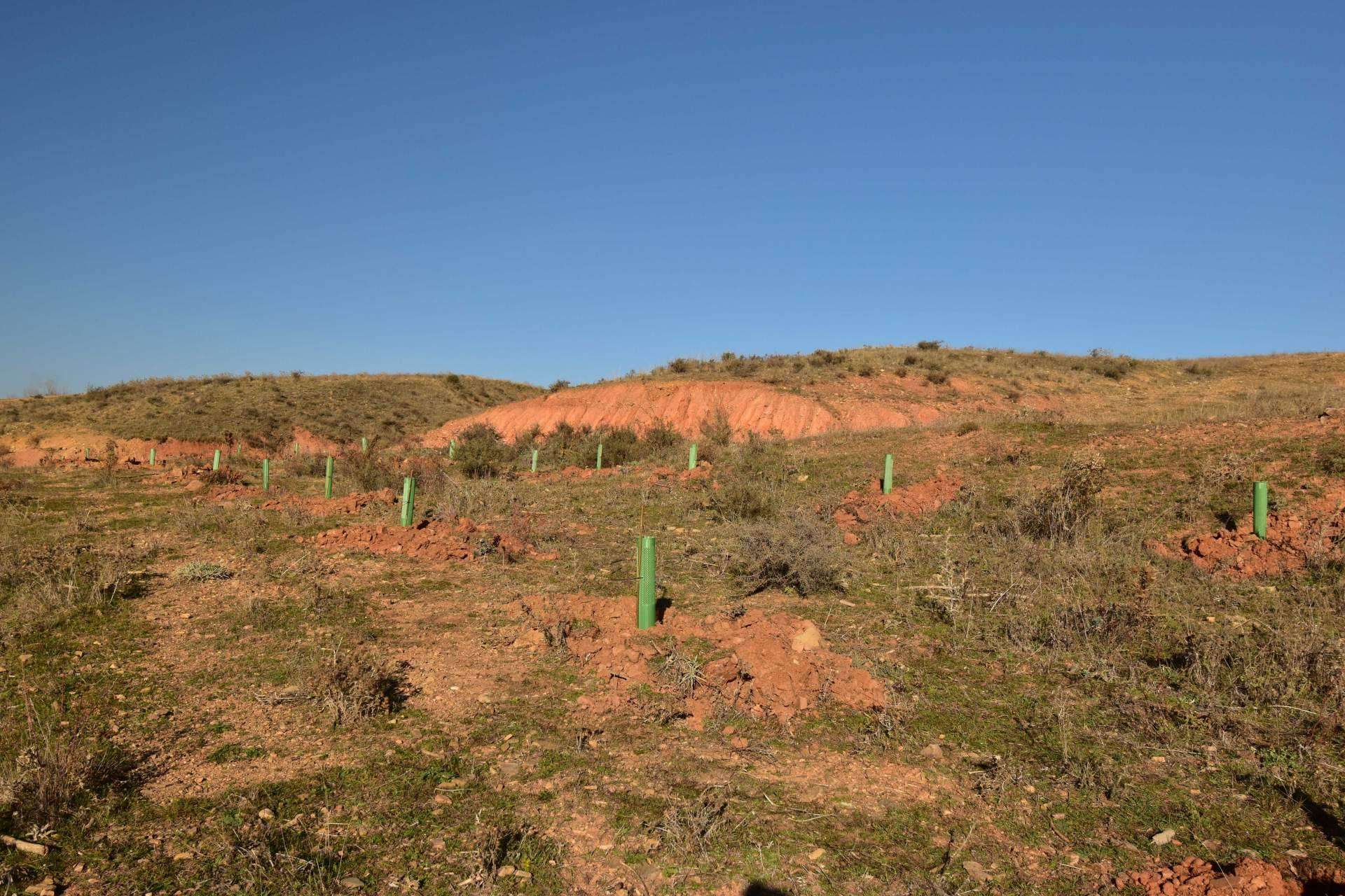 Fundación Alcoraz y la empresa ICT presentan su campaña para cuidar del medioambiente