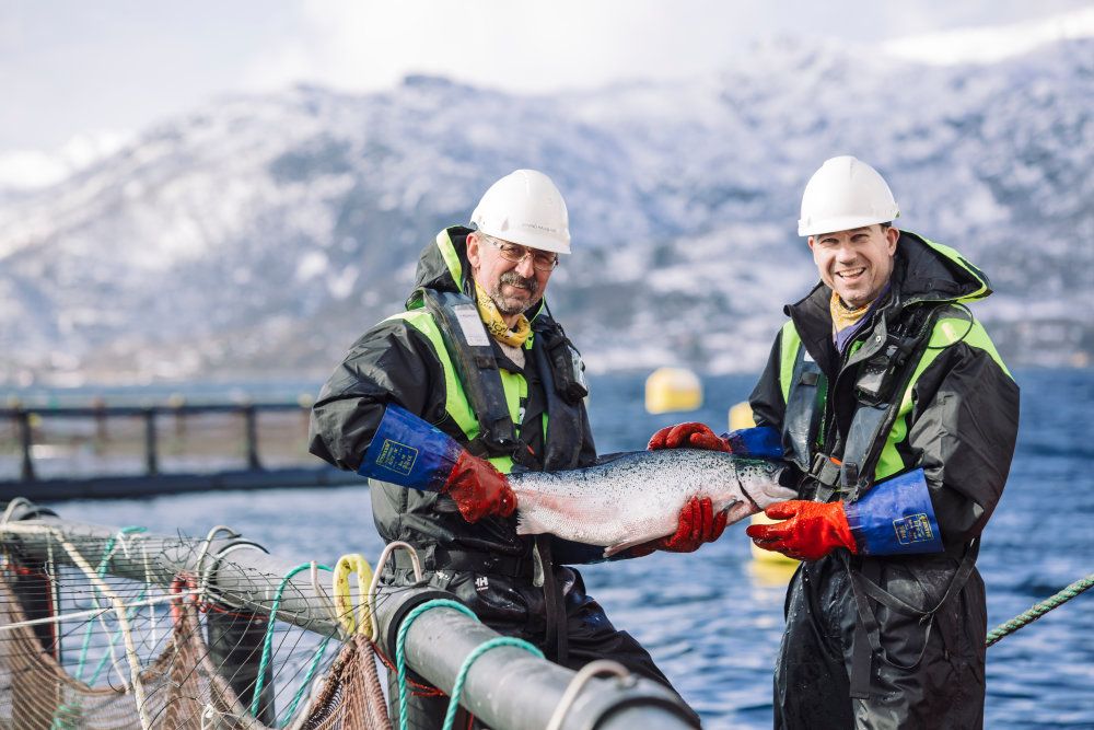 España en el pódium de los mayores consumidores de pescado del mundo