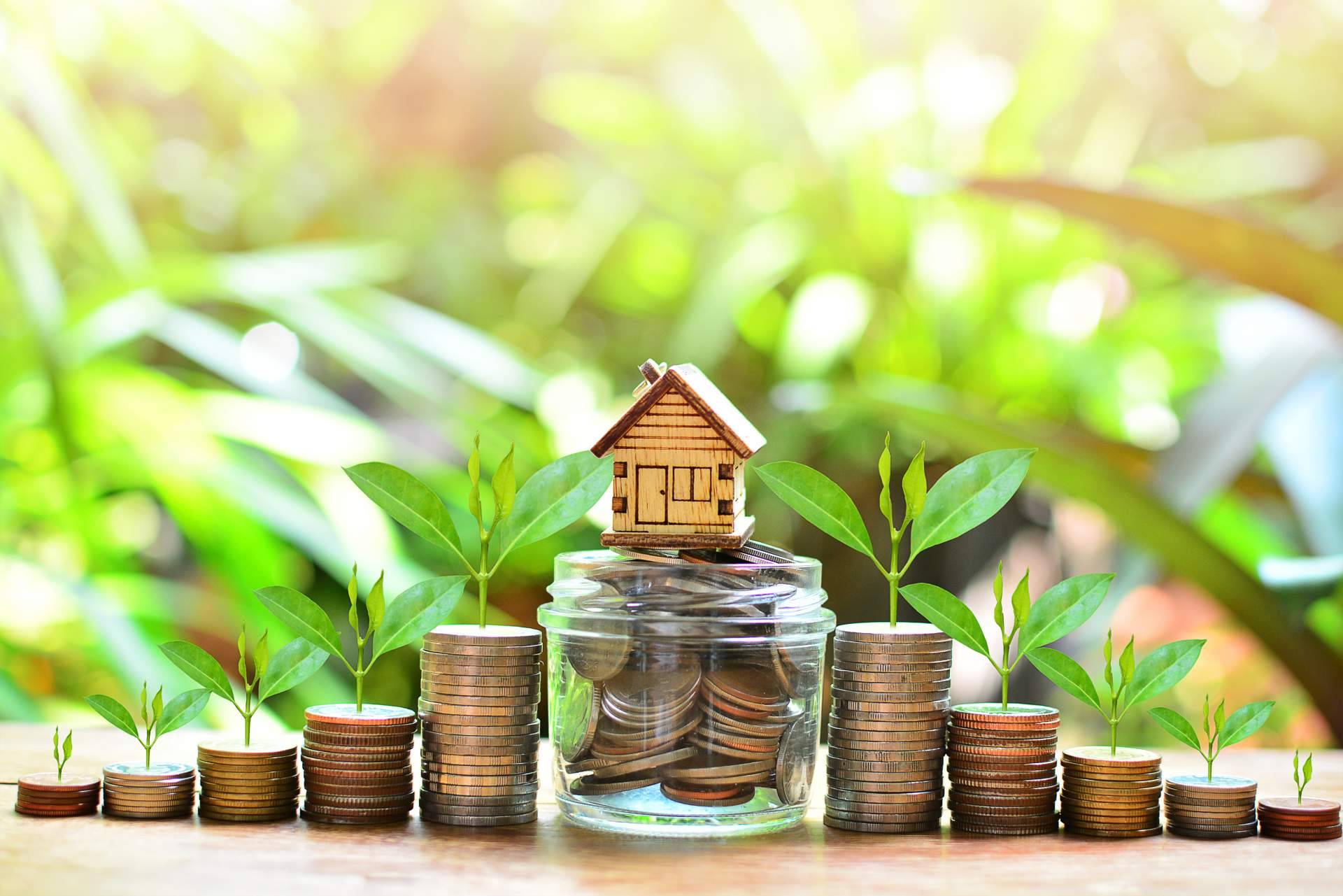Francisco José Suárez Díaz, experto en criptomonedas, sobre su inversión en el sector inmobiliario