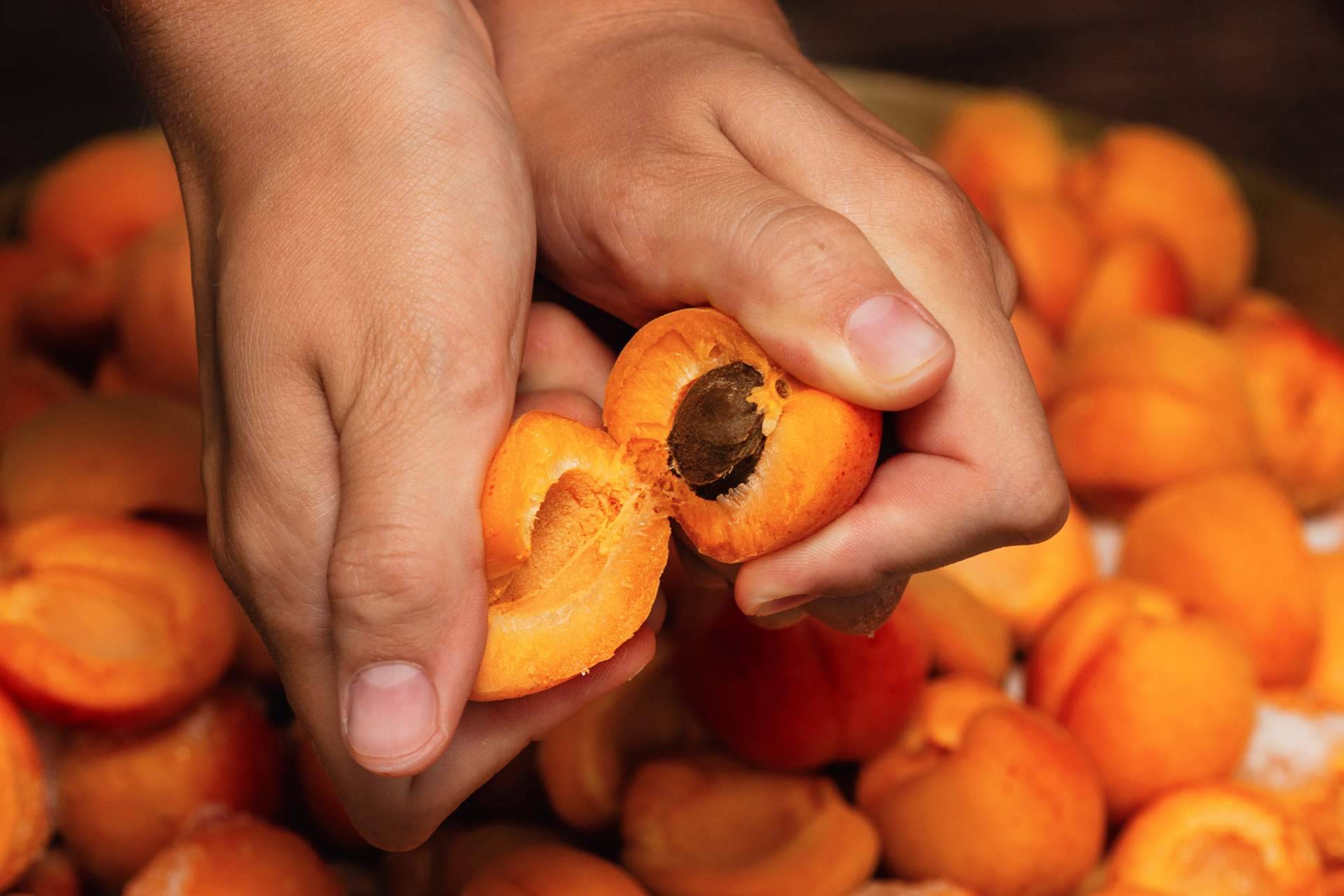 Disminución en la cosecha de albaricoque y melocotón en España, por Baor Products
