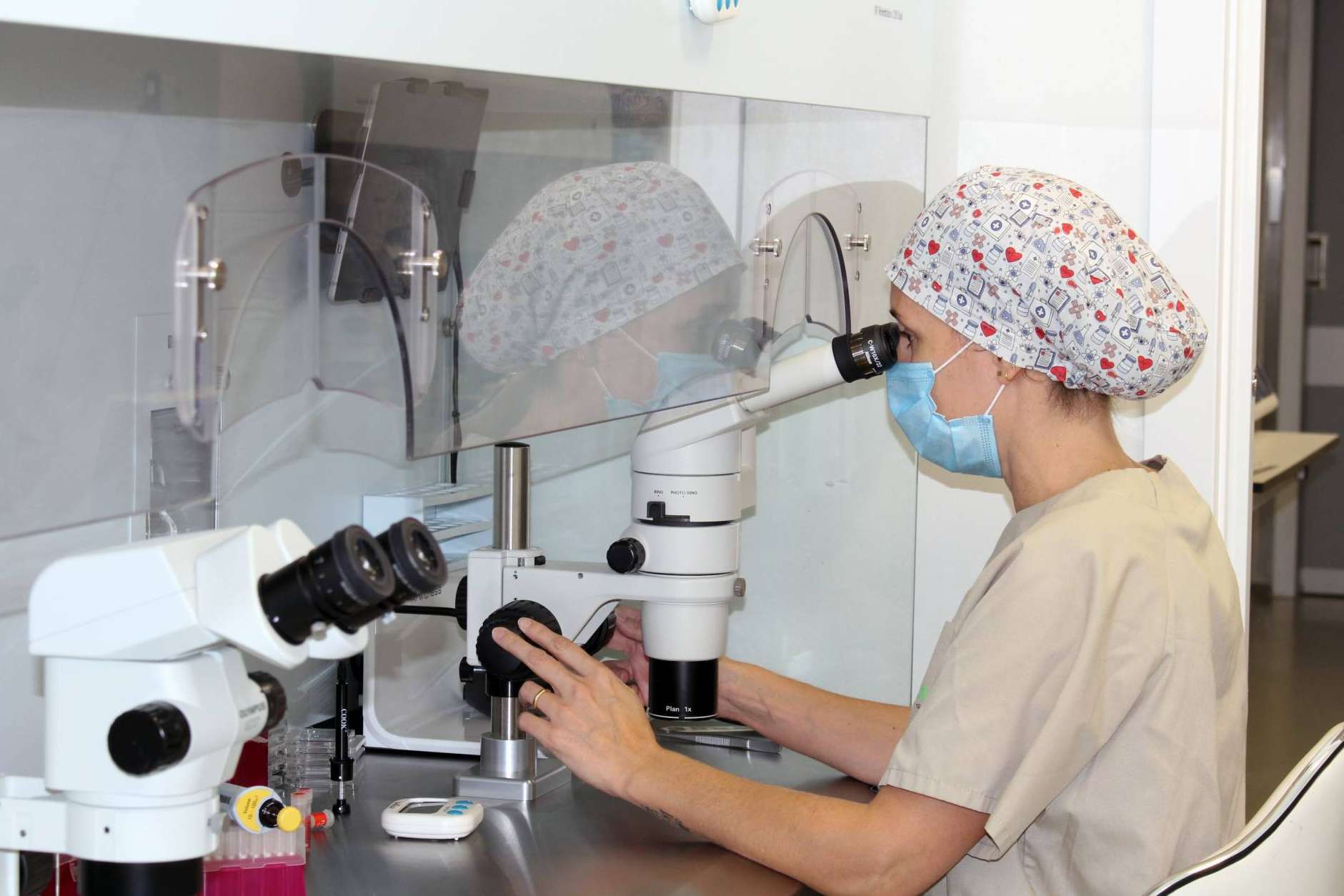 Las clínicas Vida Fertility Institute son pioneras en mejorar la fertilidad femenina a partir de la medicina regenerativa