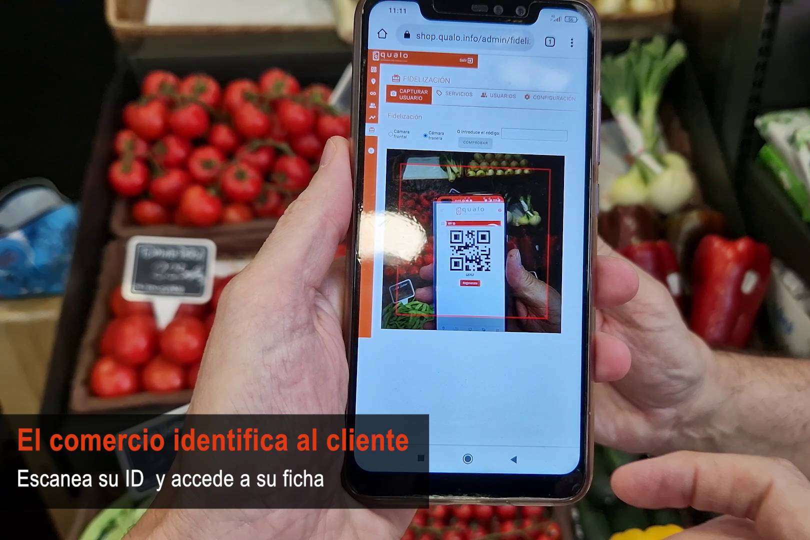 Potenciar la actividad comercial con información actualizada y en tiempo real con QUALO
