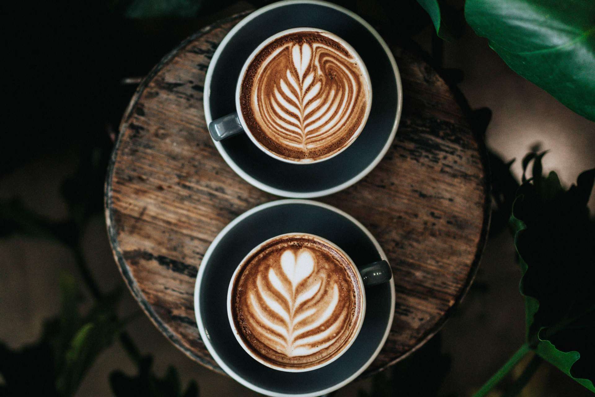La experiencia sensitiva única que ofrece Cafés Legend gracias a la receta secreta de su café molido