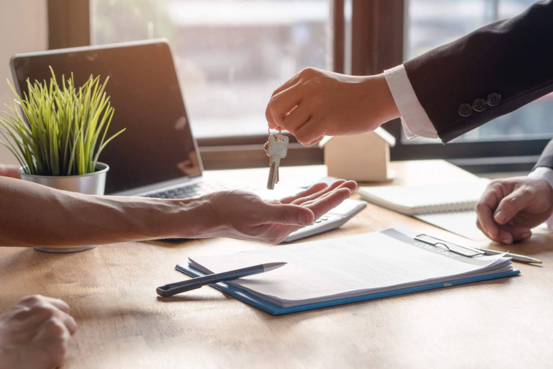 Las probabilidades de tener éxito apostando por una franquicia como Realtyplus