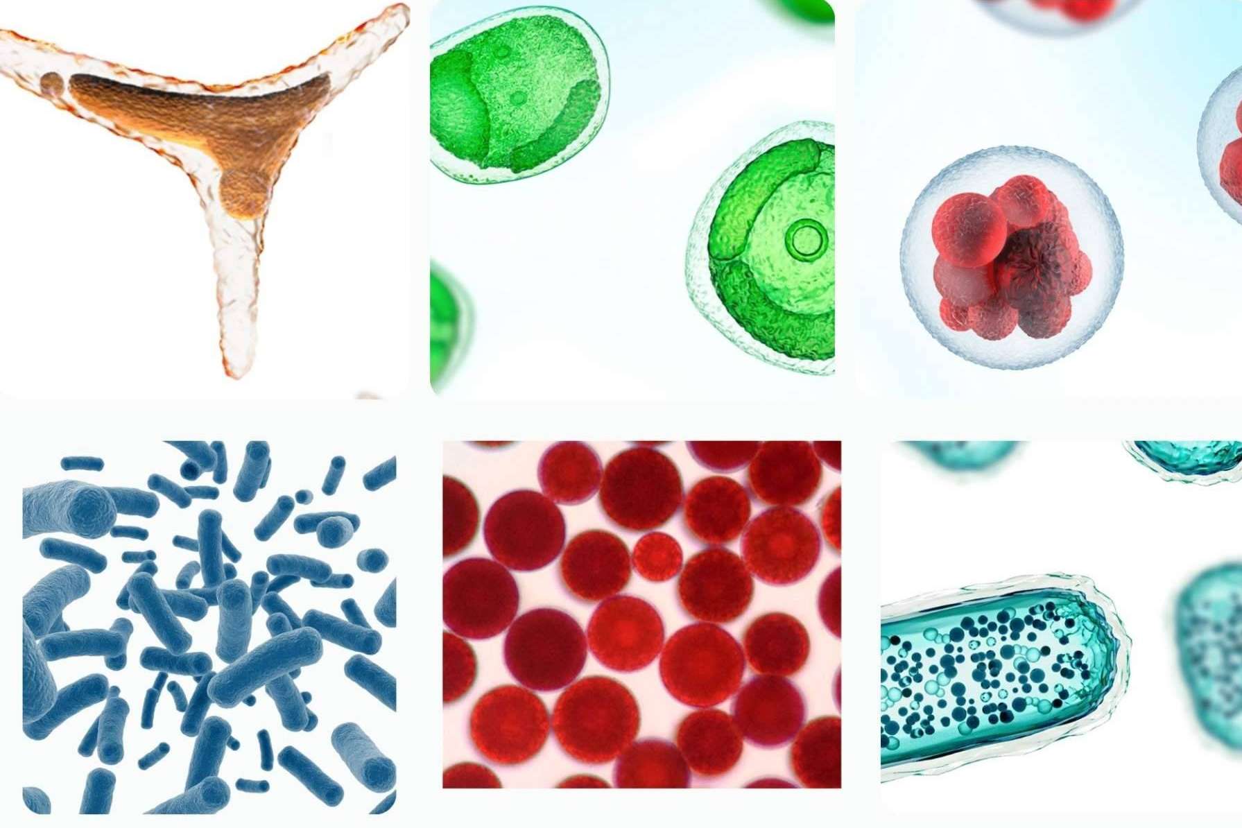 Cosmética de alta gama, libre de tóxicos y asequible para todos los bolsillos en BIOTICALCARE