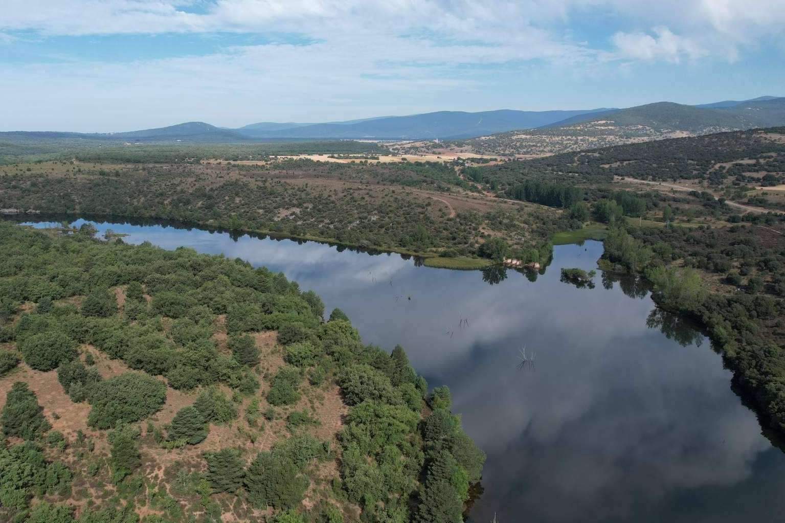 ¿Cuál es el papel de los bosques en la absorción del CO2?
