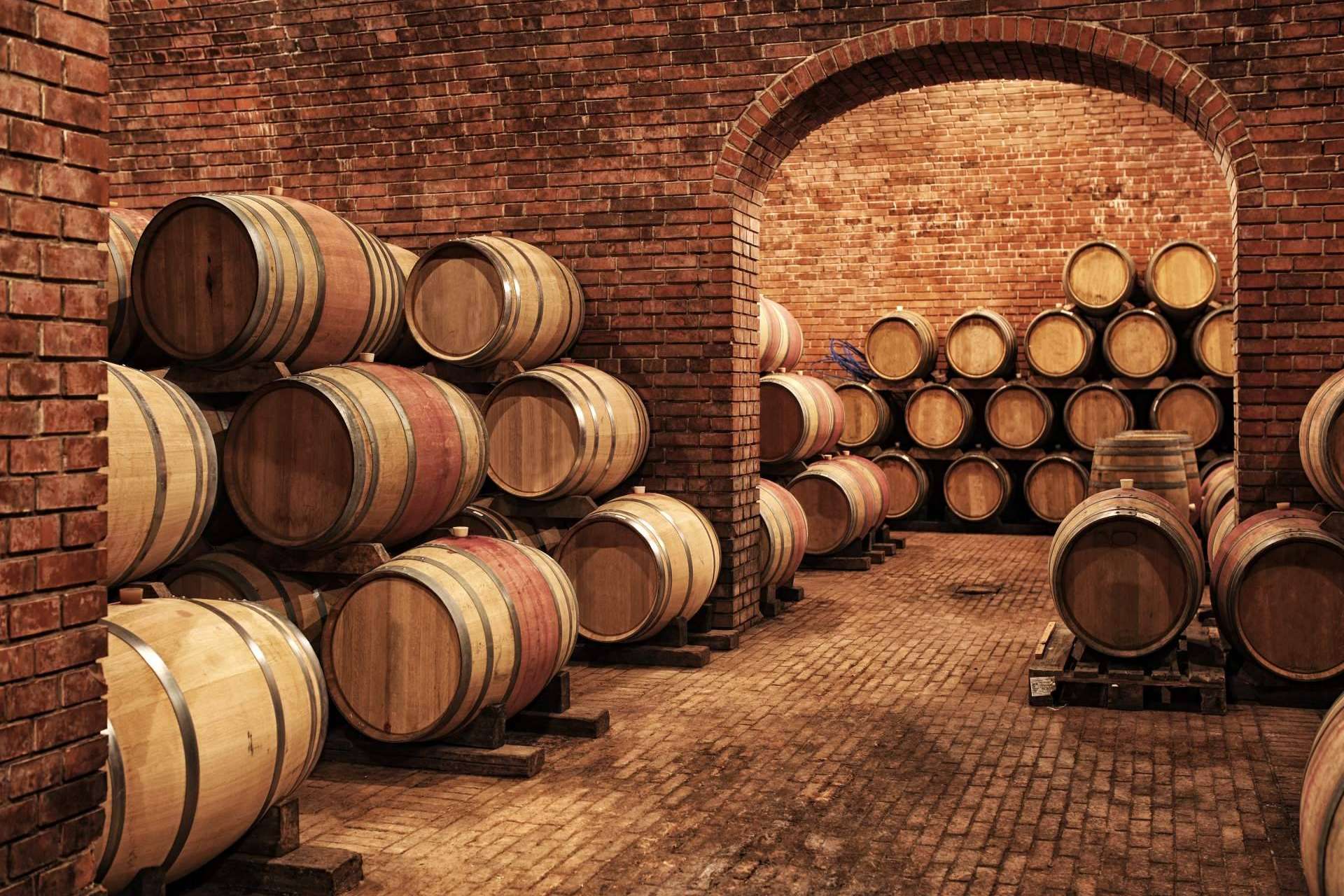 BancoDatos ofrece datos y emails de bodegas de vino en España
