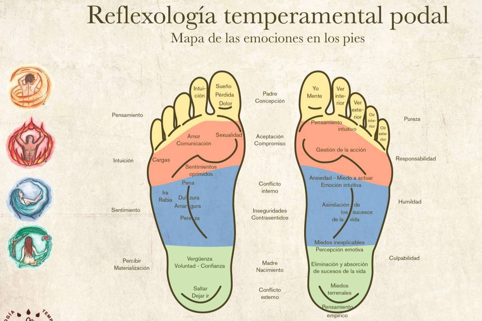 Reflexología podal evolutiva, ¿qué es y cuáles son sus beneficios?, por Rafi Tur