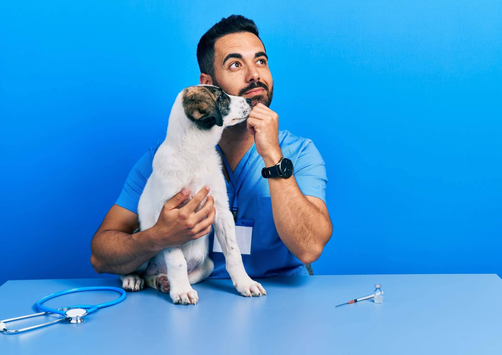 Los cursos auxiliar veterinaria de VetFormación