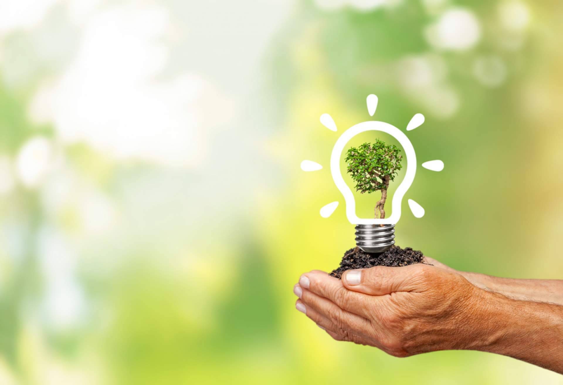 SATE Mediterraneo, un paso por delante en eficiencia energética