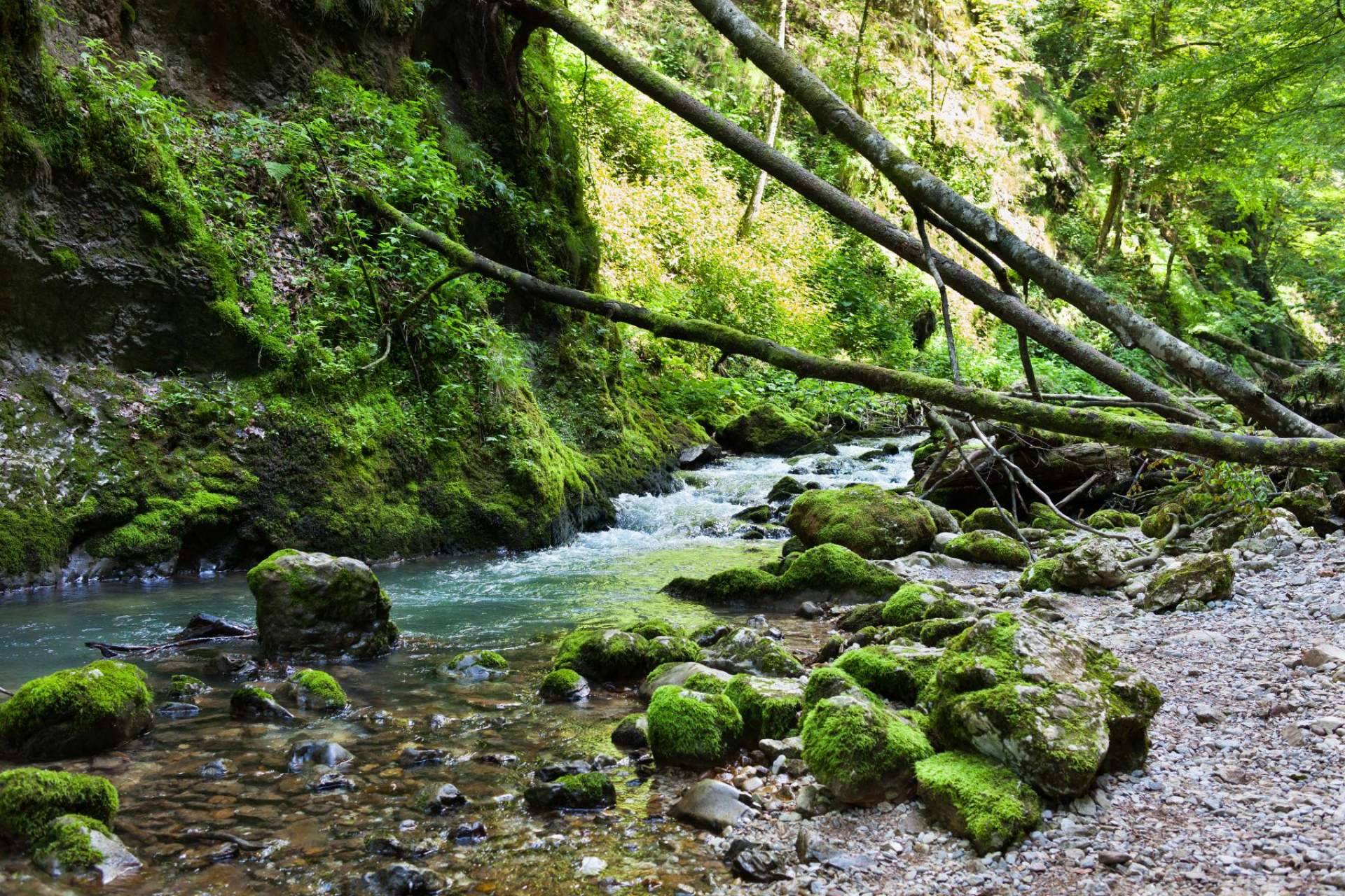 El programa de salud medioambiental de WellWo para crear conciencia de cómo cuidar el planeta