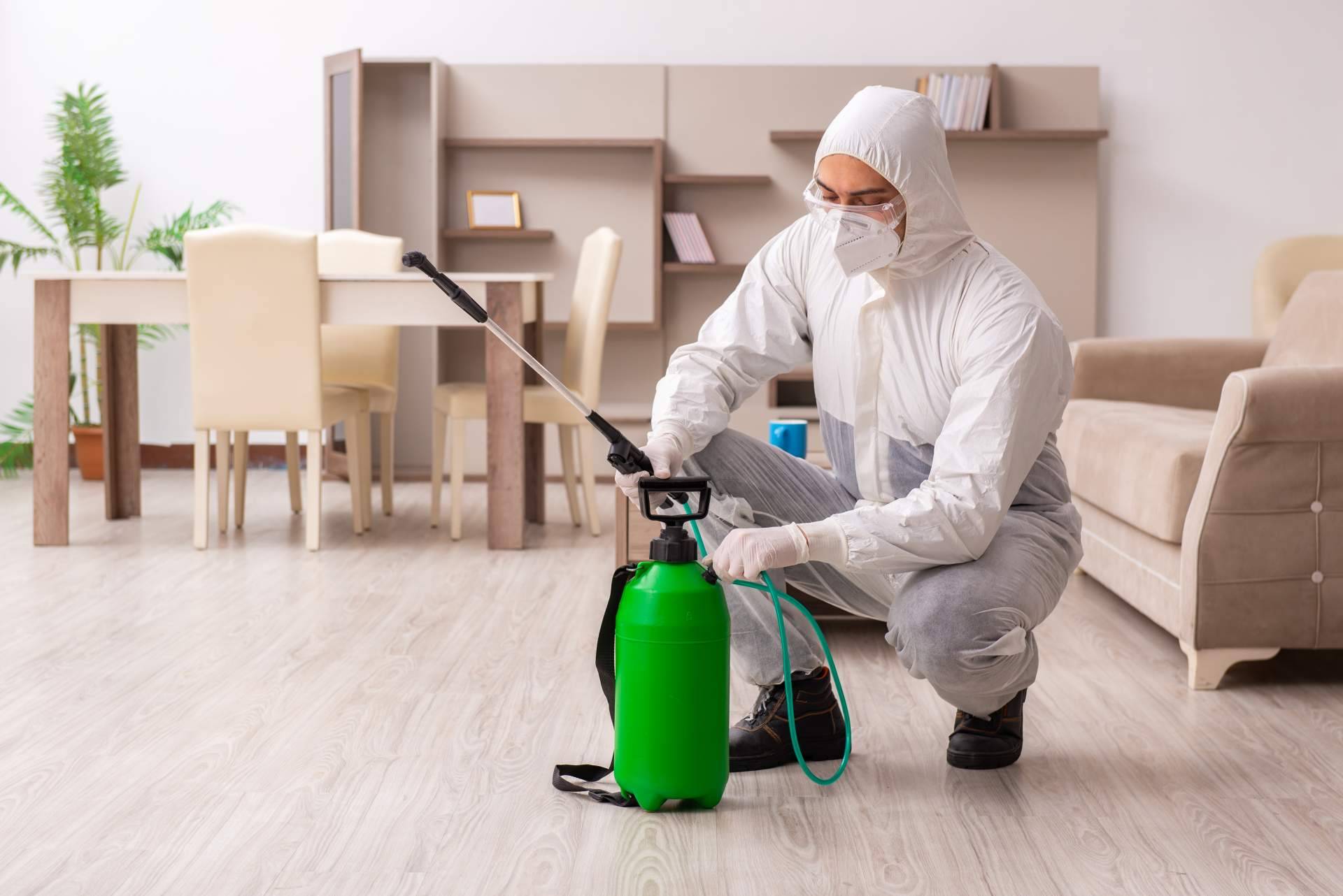 American Pest Control, una reconocida empresa de control de plagas en Madrid